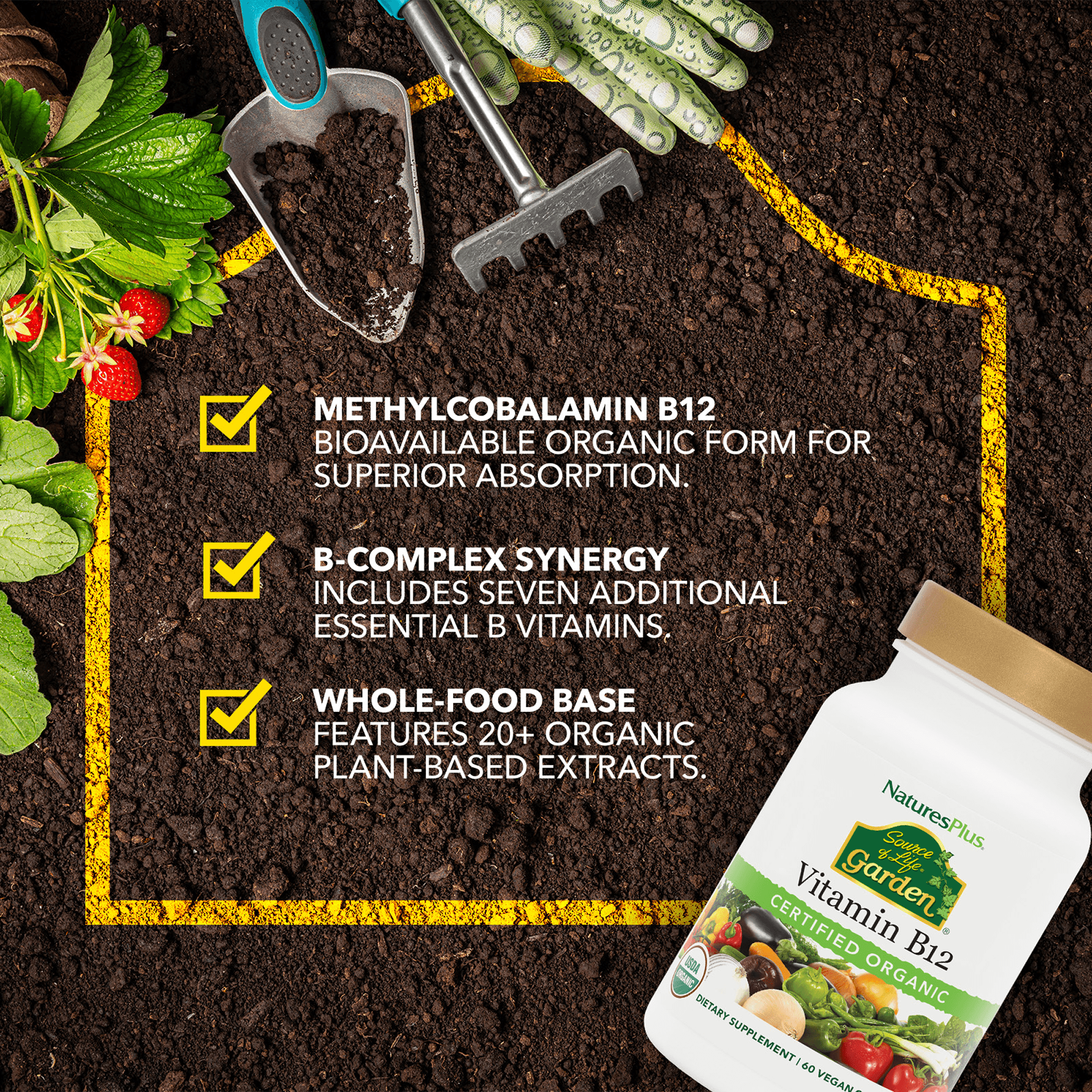 Source of Life® Garden Vitamin B12 Capsules - 60 Count