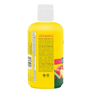 Second side product image of Source of Life® Prenatal Multivitamin Liquid containing 30 FL OZ