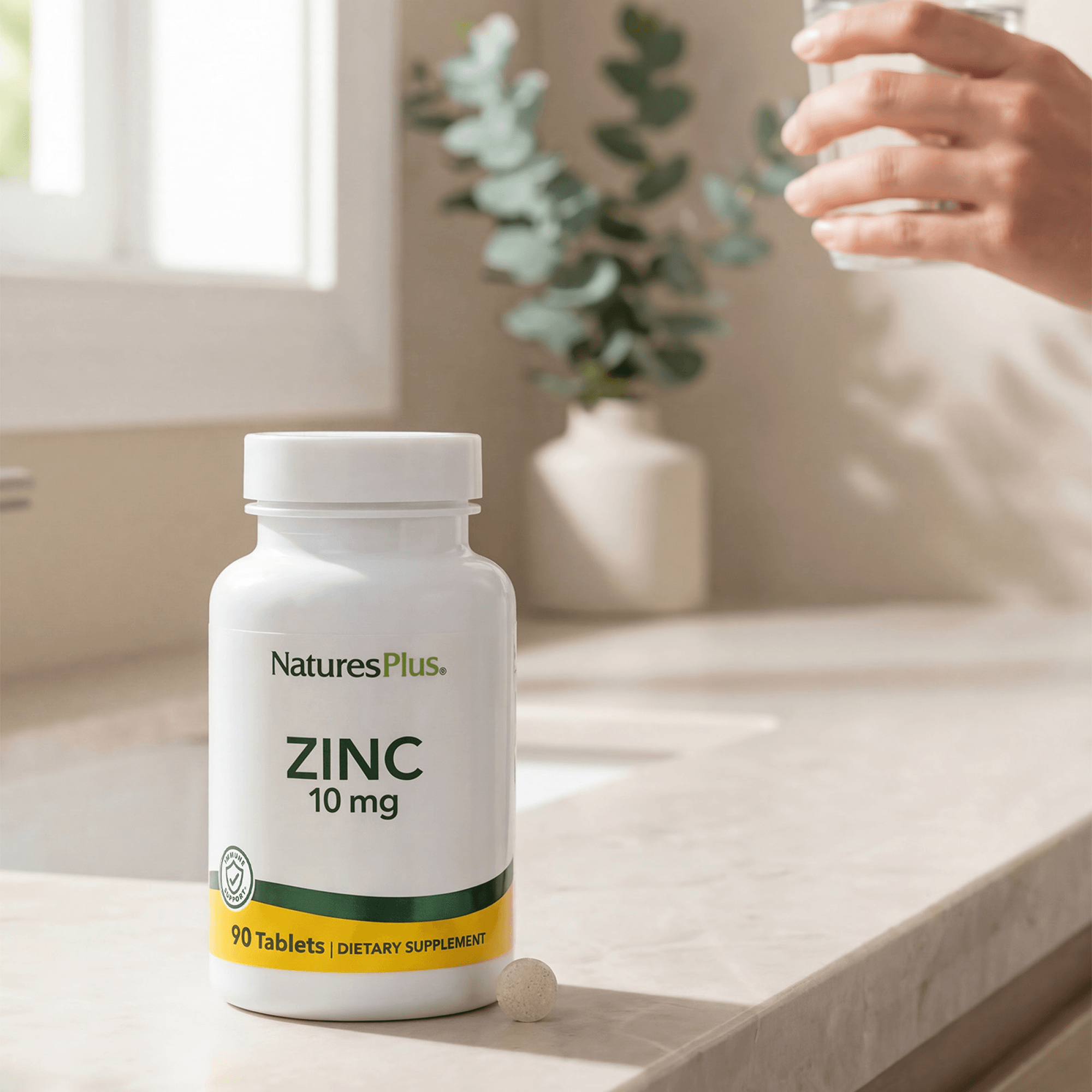 Zinc 10 mg Tablets - 90 Count
