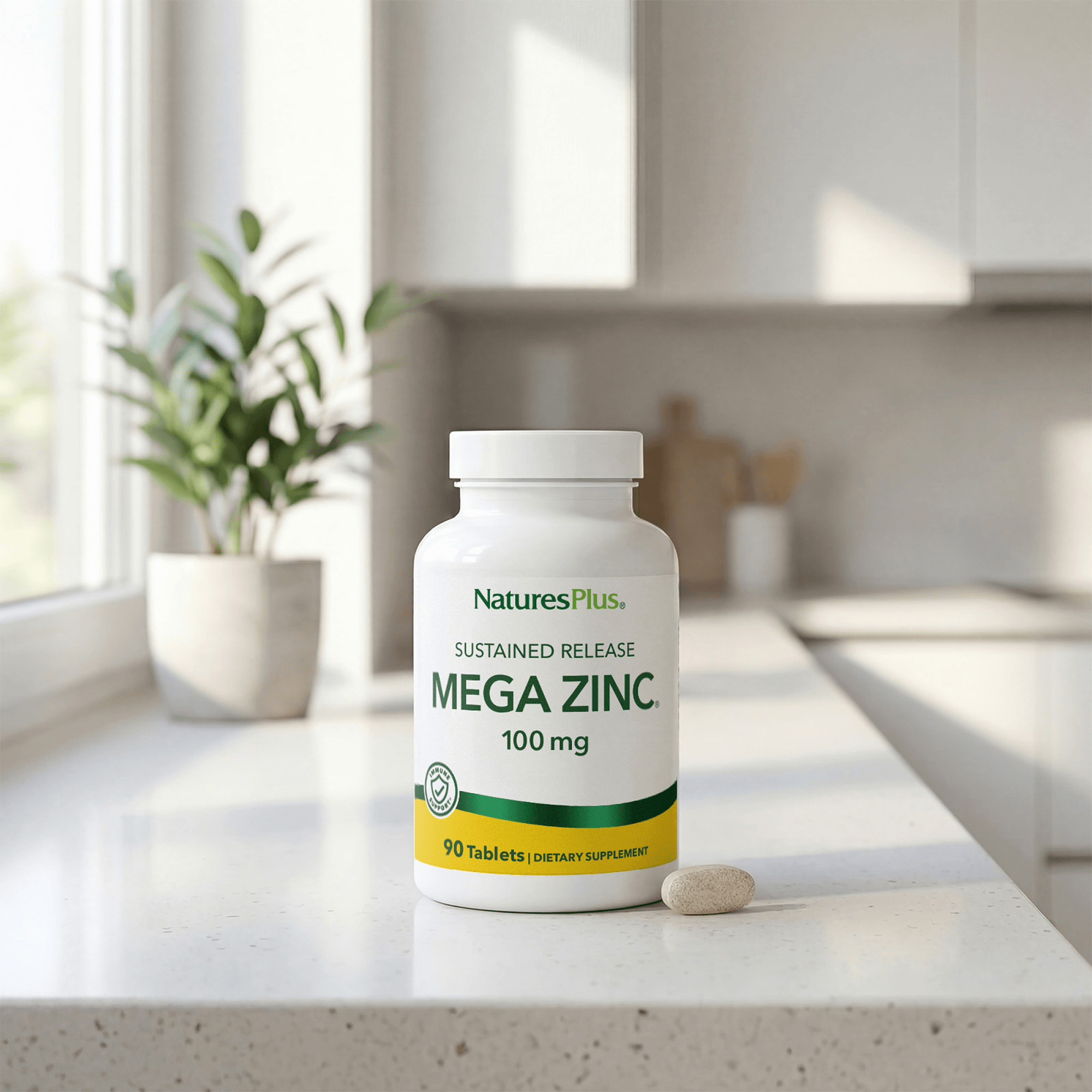 Mega Zinc 100 mg Sustained Release Tablets - 90 Count