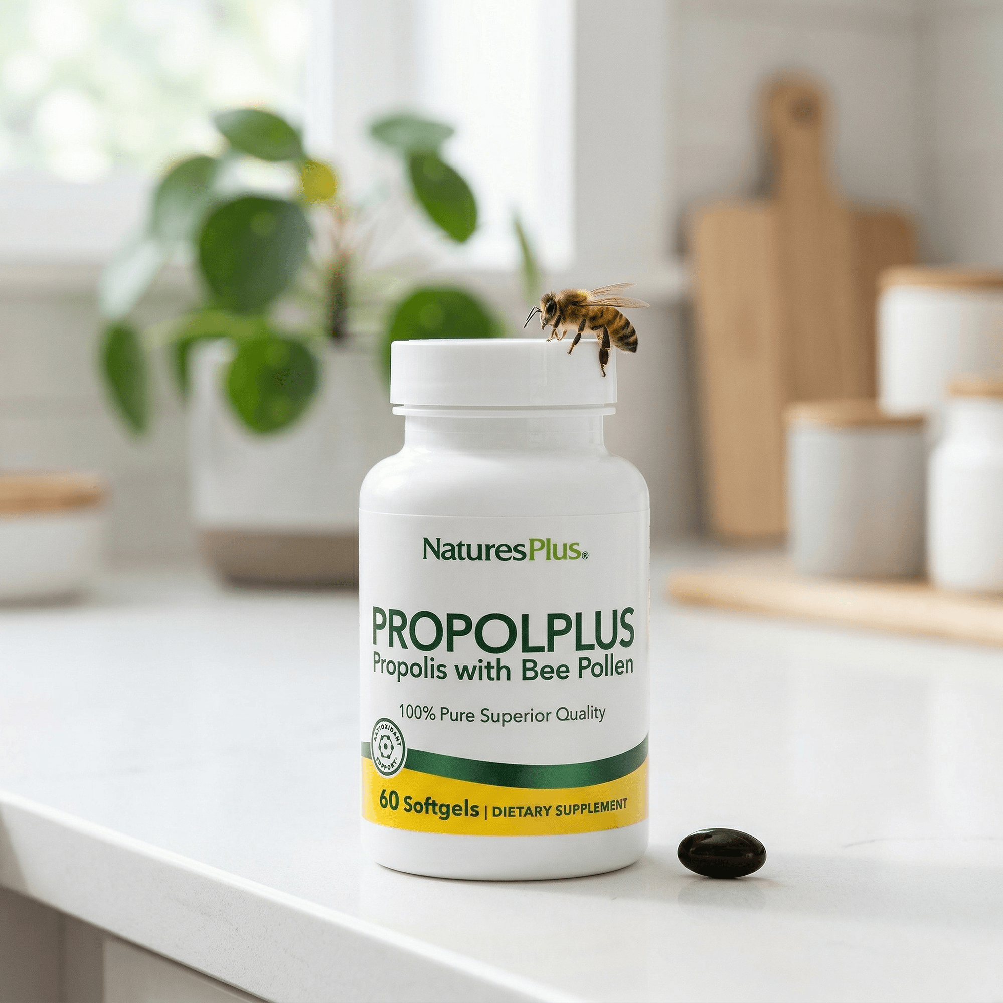 Propolplus Softgels - 60 Count