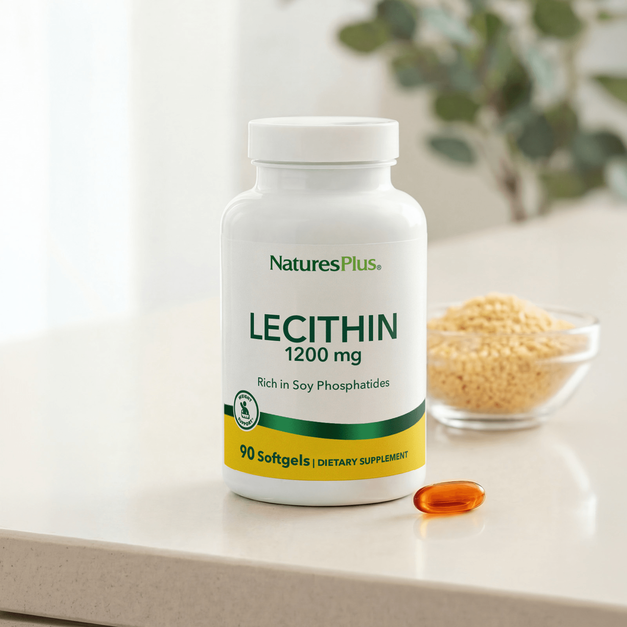 Lecithin 1200 mg Softgels - 90 Count