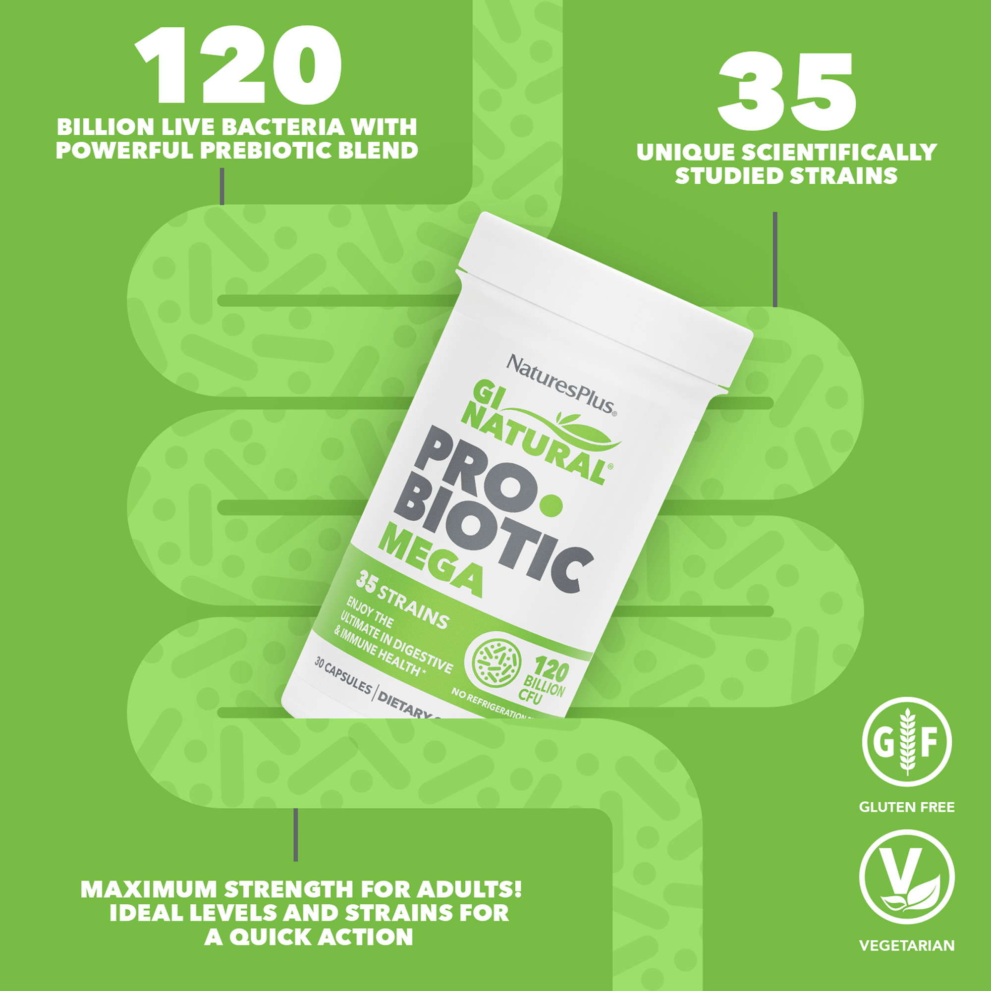 GI Natural® Probiotic Mega - 30 Count