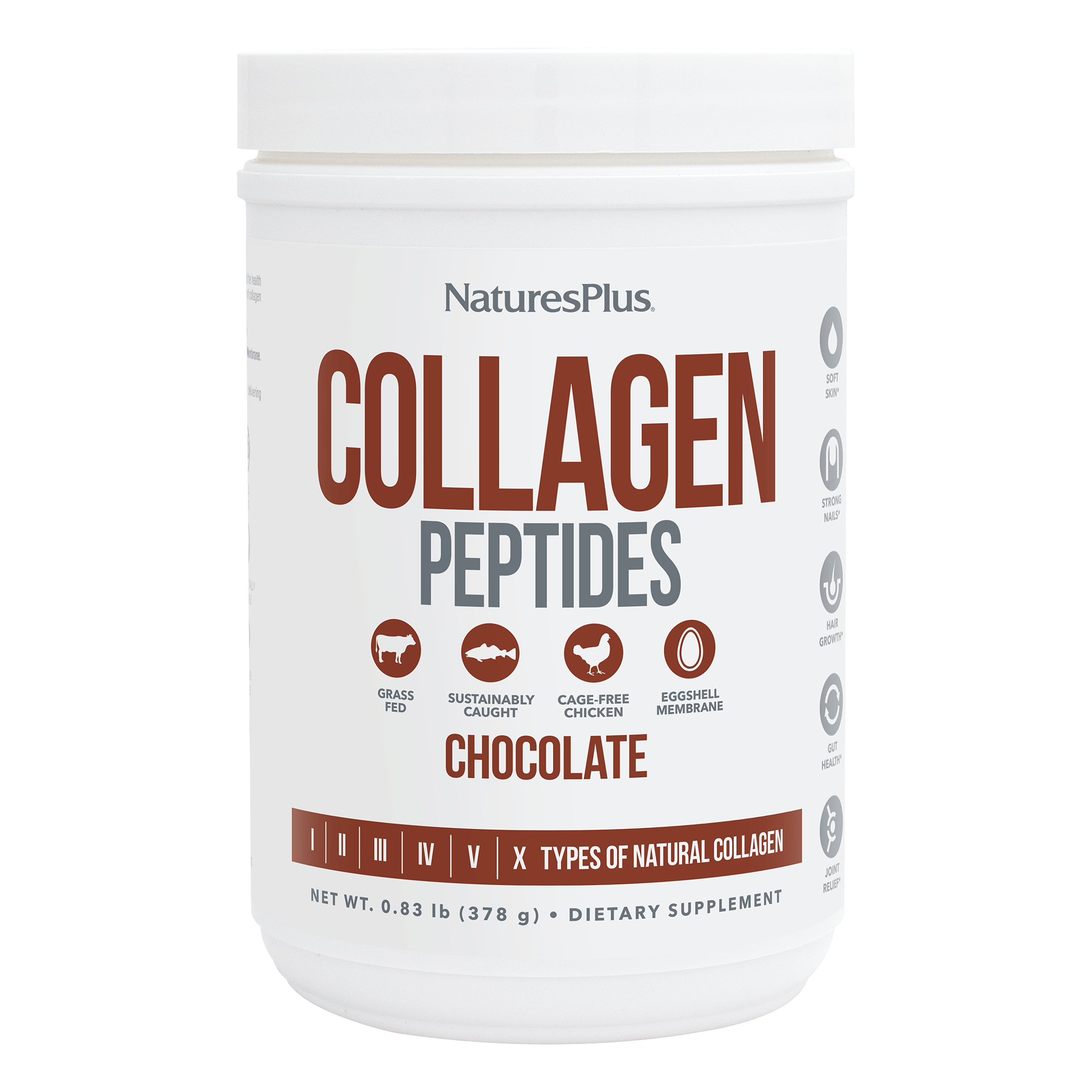 Collagen Peptides Chocolate - 0.83 LB