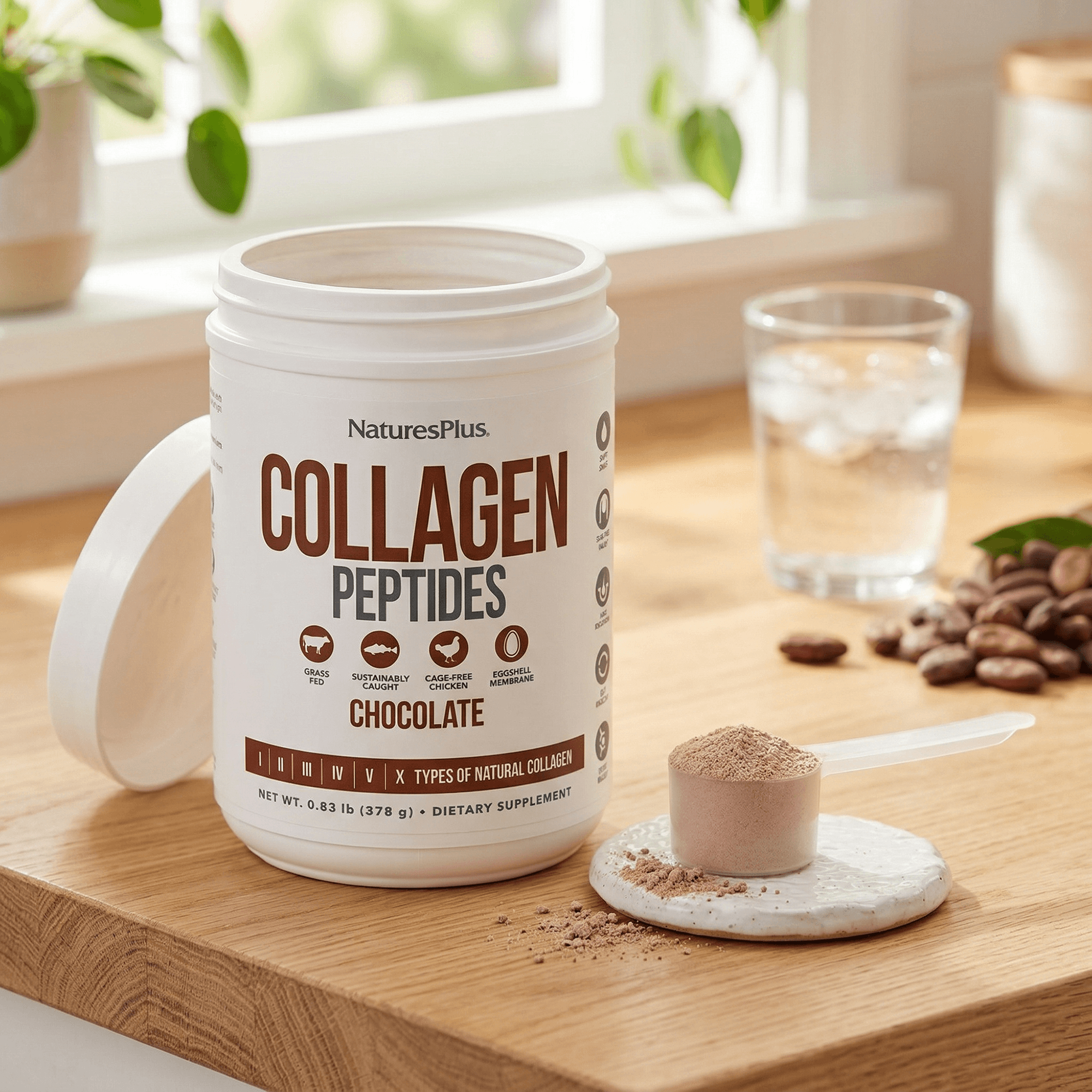 Collagen Peptides Chocolate
