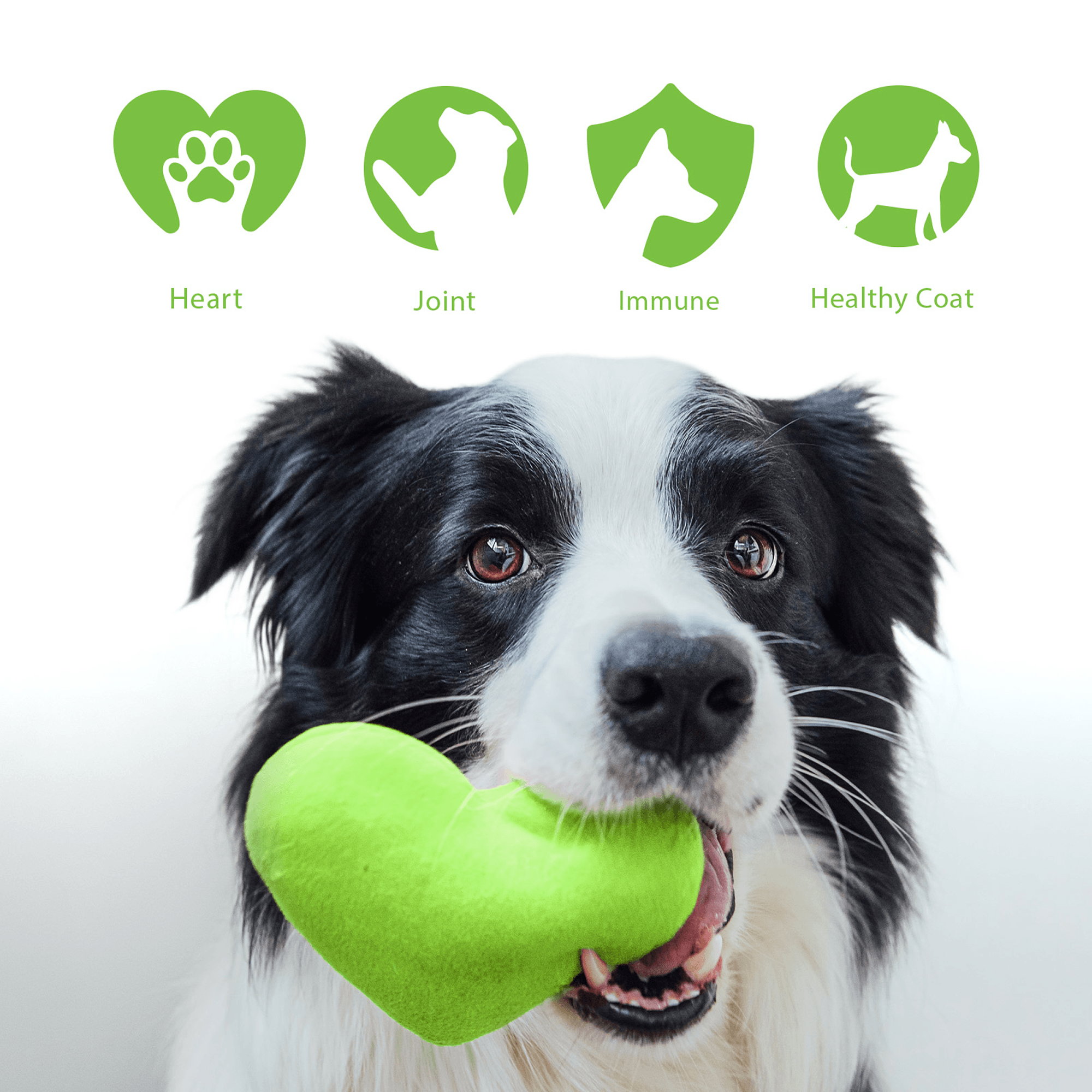 FurBaby® Multivitamin for Dogs - 10.40 OZ