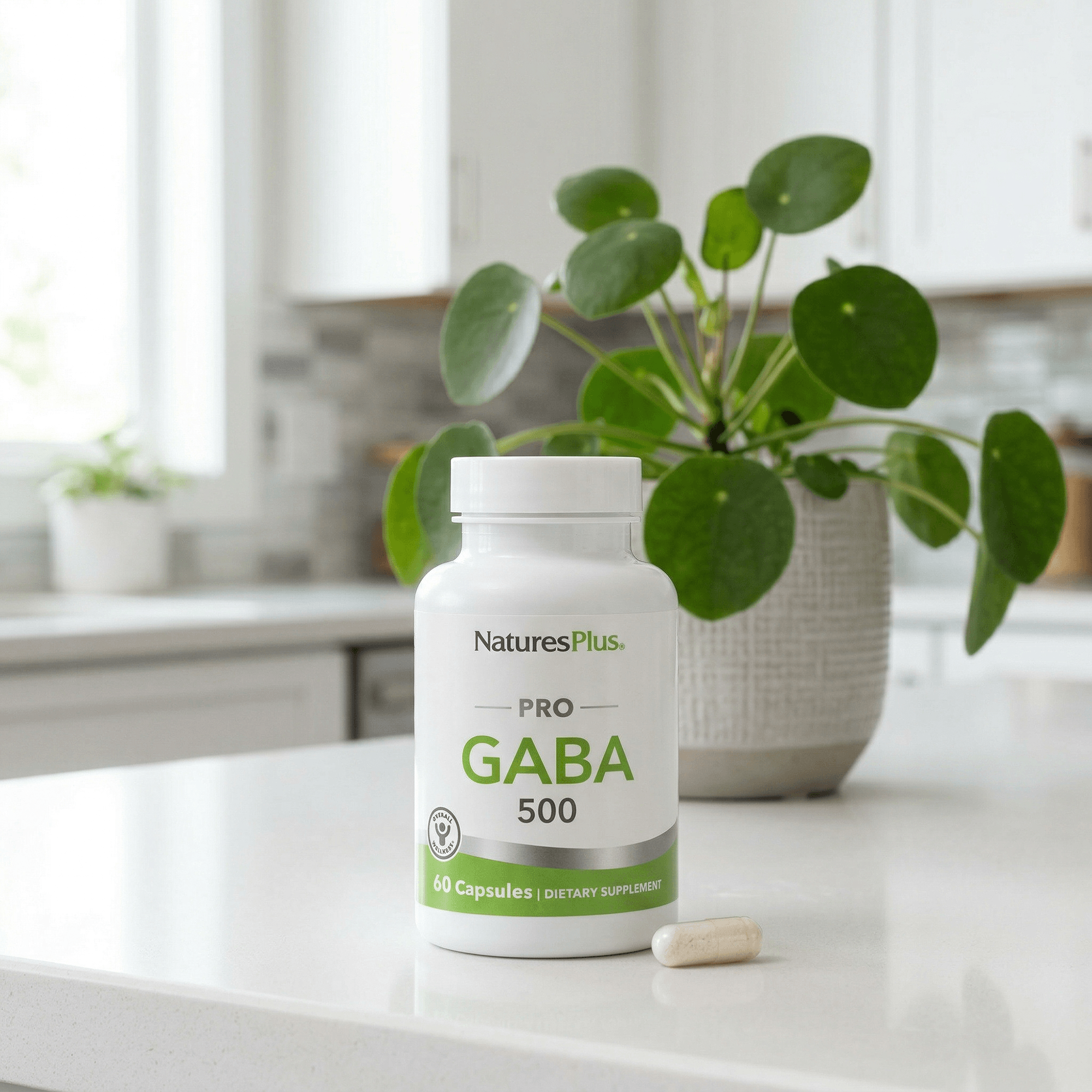NaturesPlus PRO GABA 500 mg Capsule - 60 Count