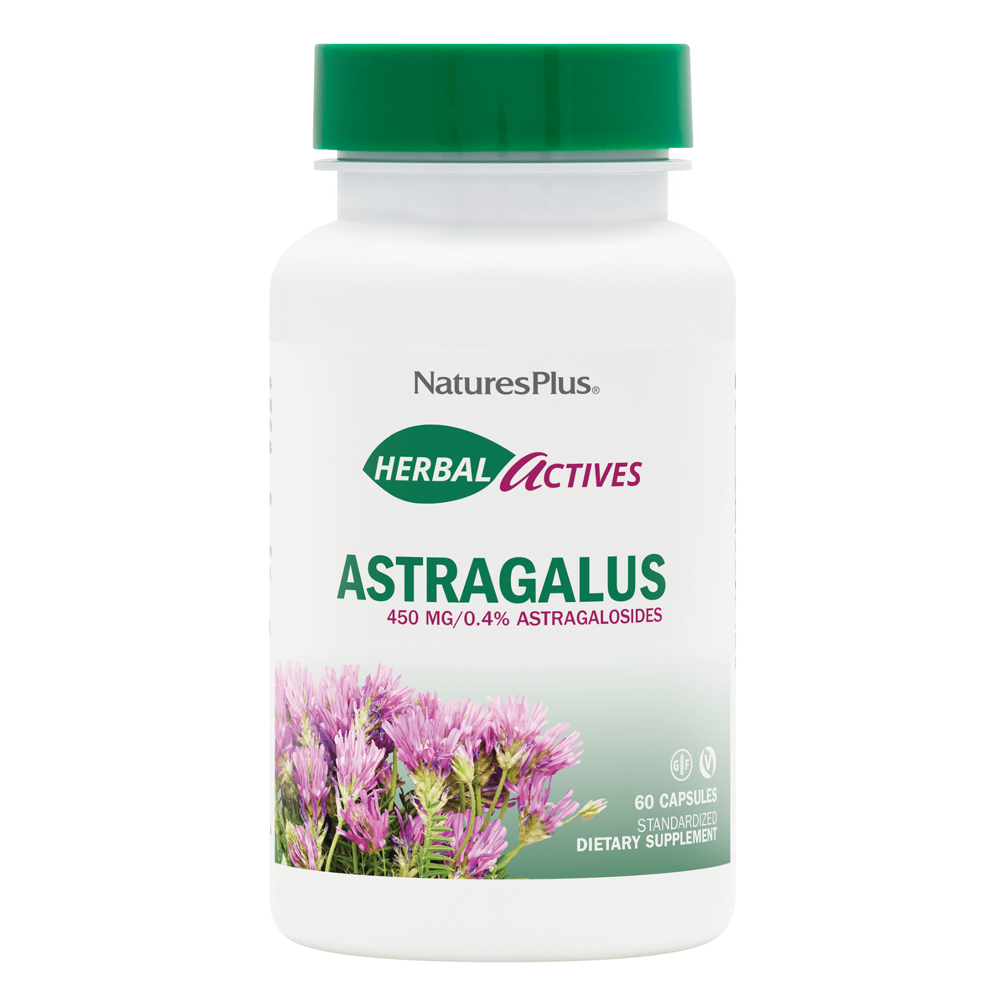 Herbal Actives Astragalus Capsules - 60 Count