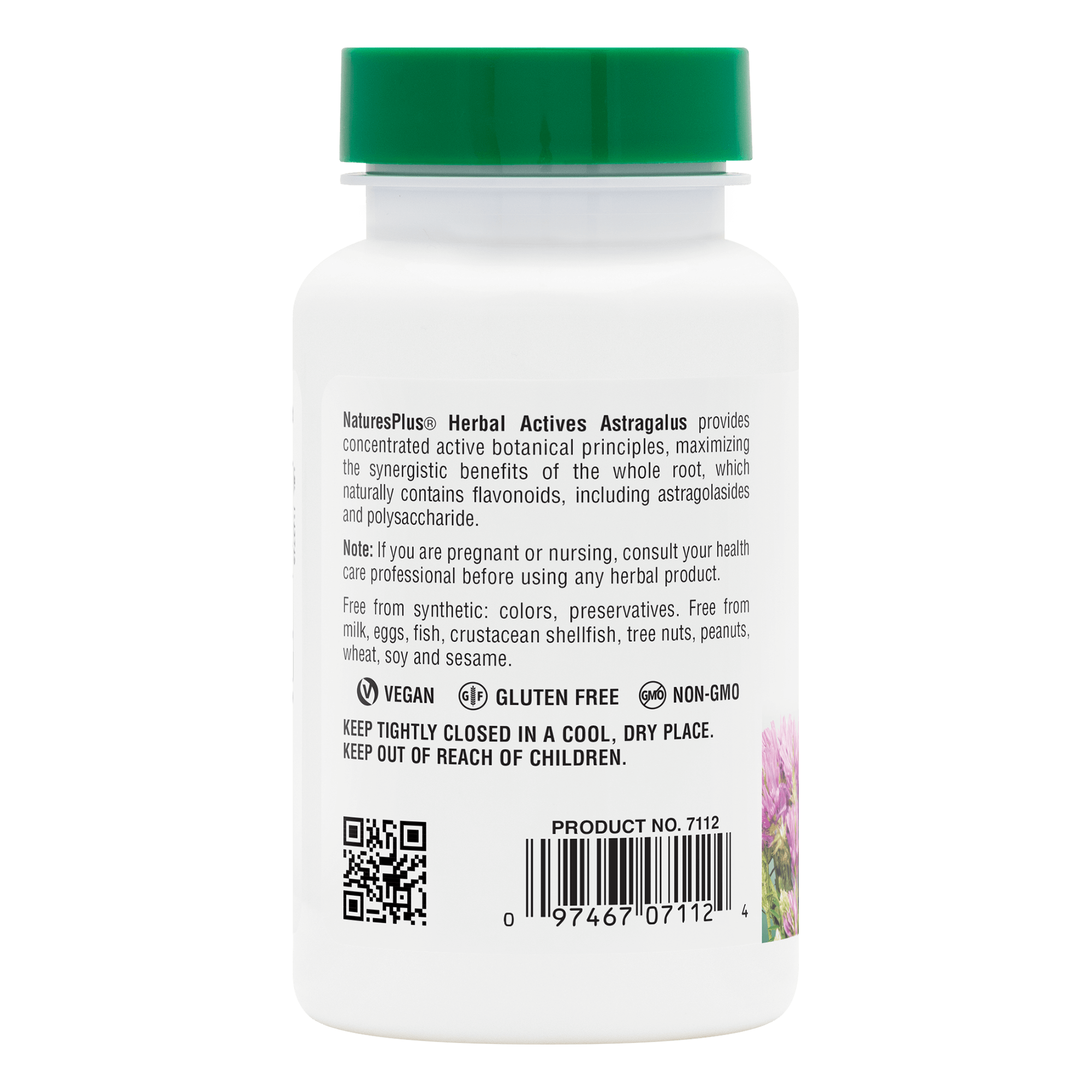 Herbal Actives Astragalus Capsules - 60 Count
