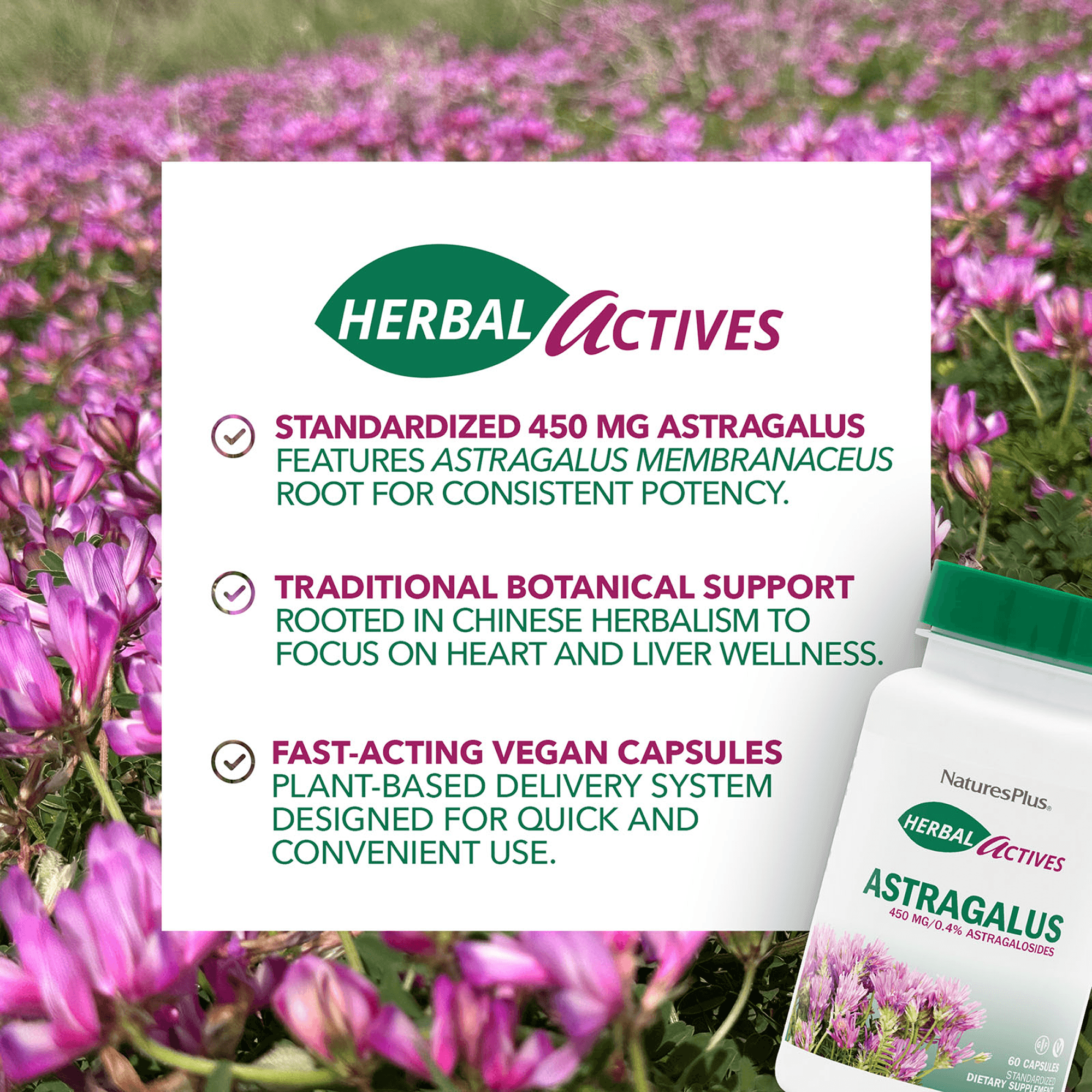Herbal Actives® Astragalus Capsules - 60 Count