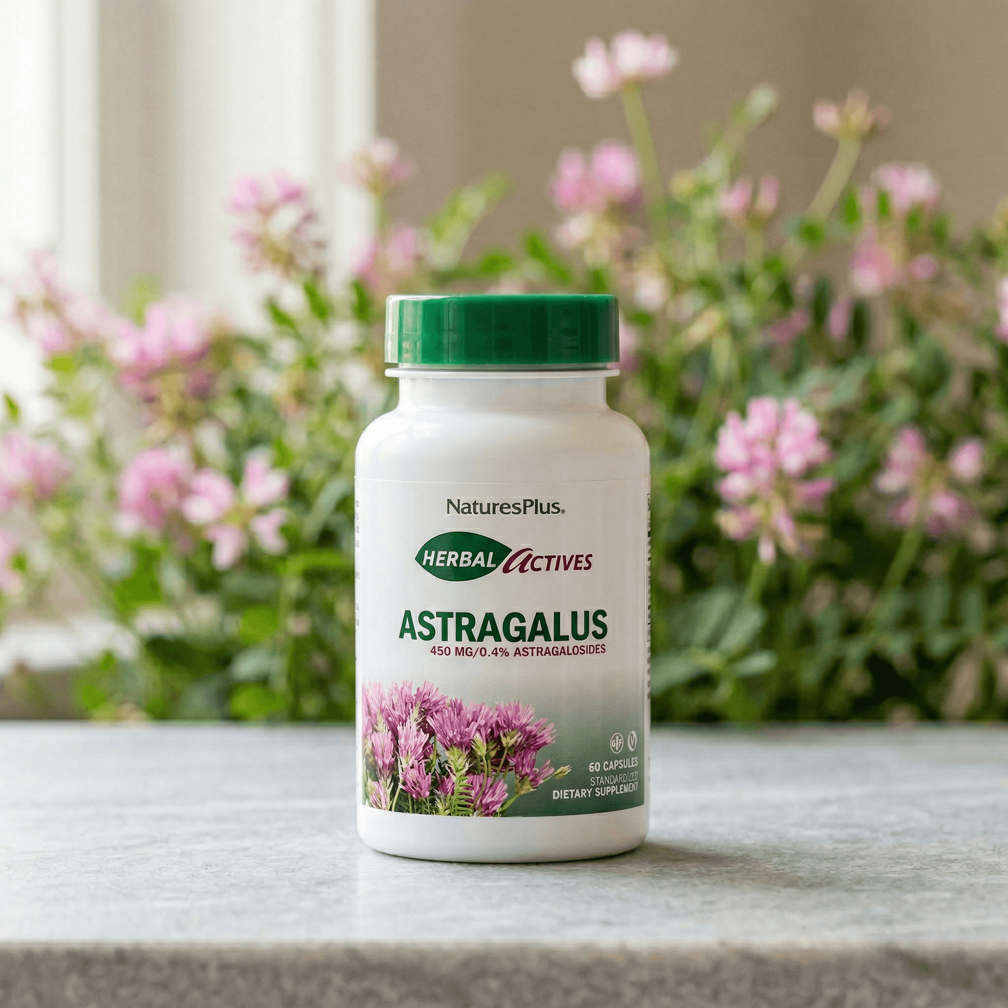 Herbal Actives® Astragalus Capsules - 60 Count