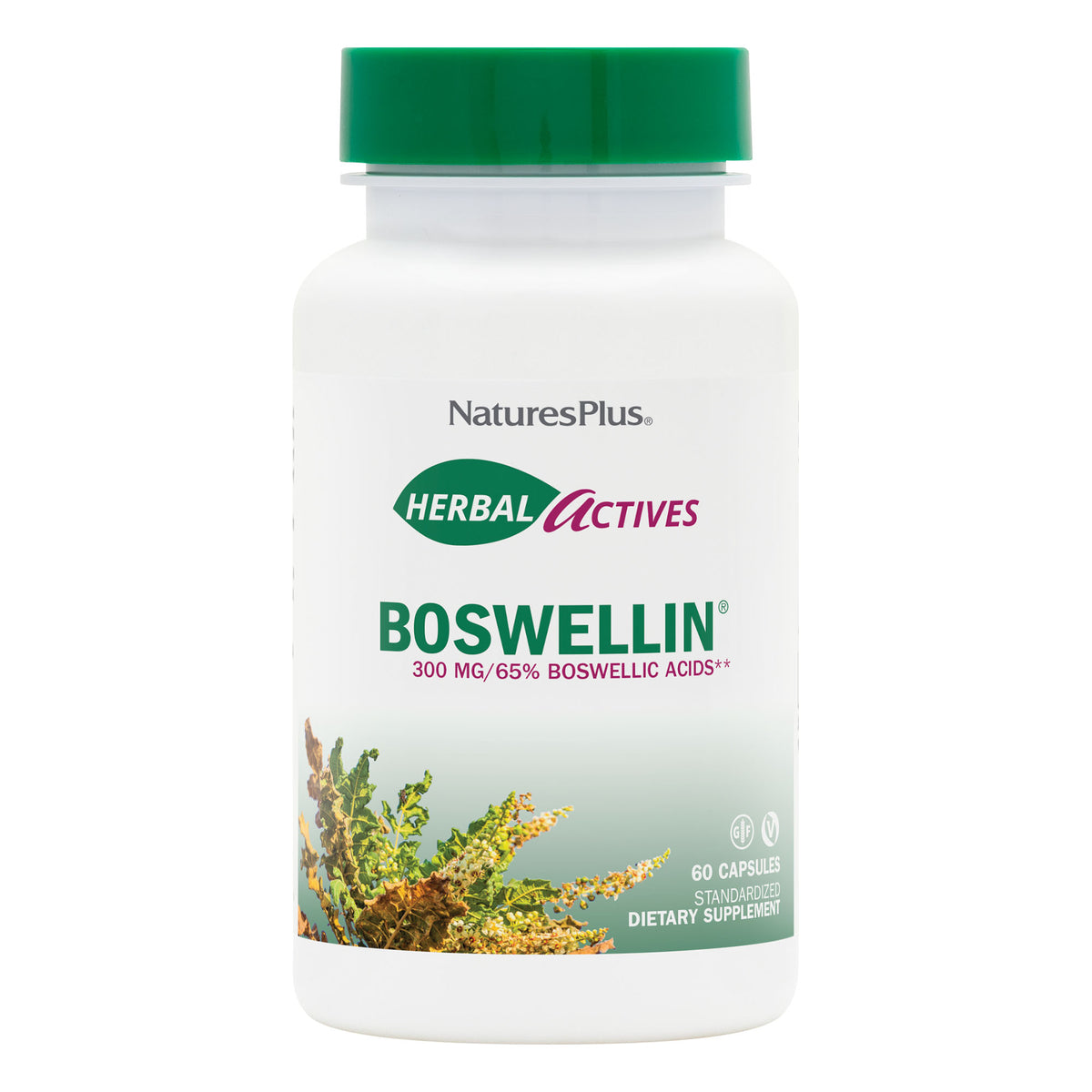 product image of Herbal Actives Boswellin® Capsules containing 60 Count