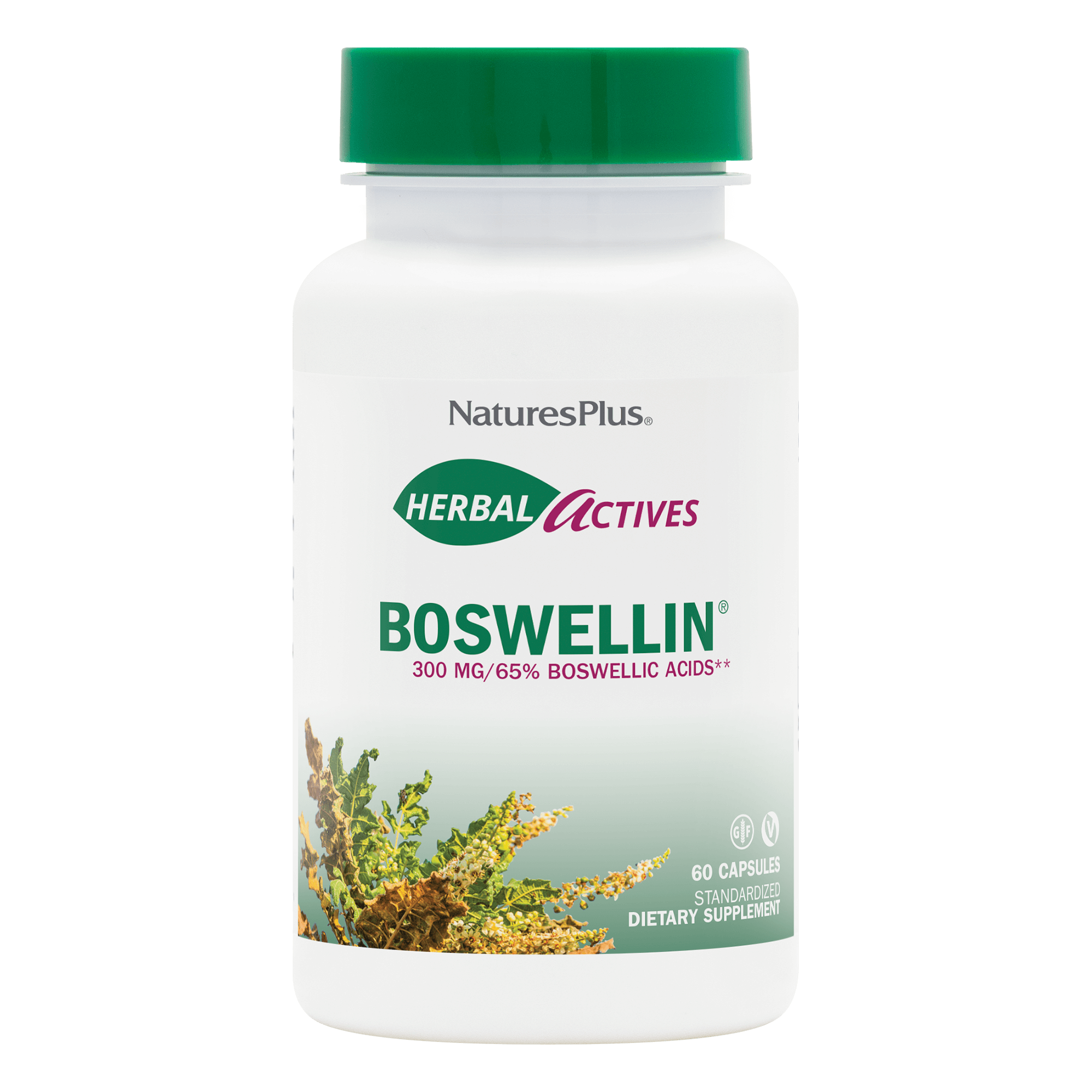 Herbal Actives Boswellin® Capsules - 60 Count