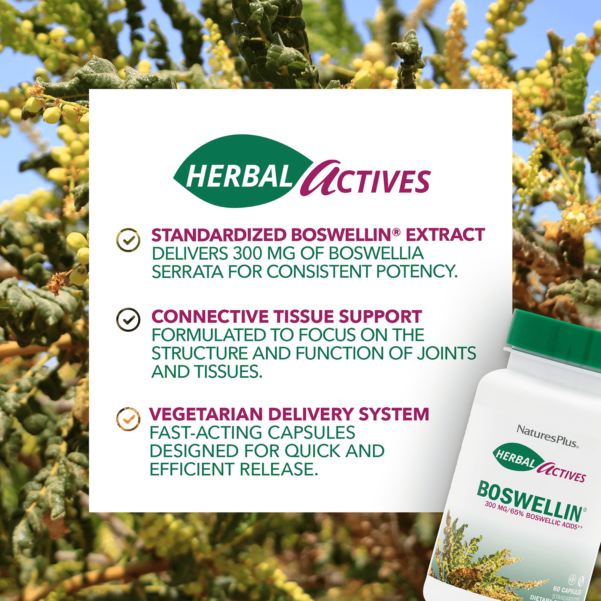 Herbal Actives® Boswellin® Capsules - 60 Count