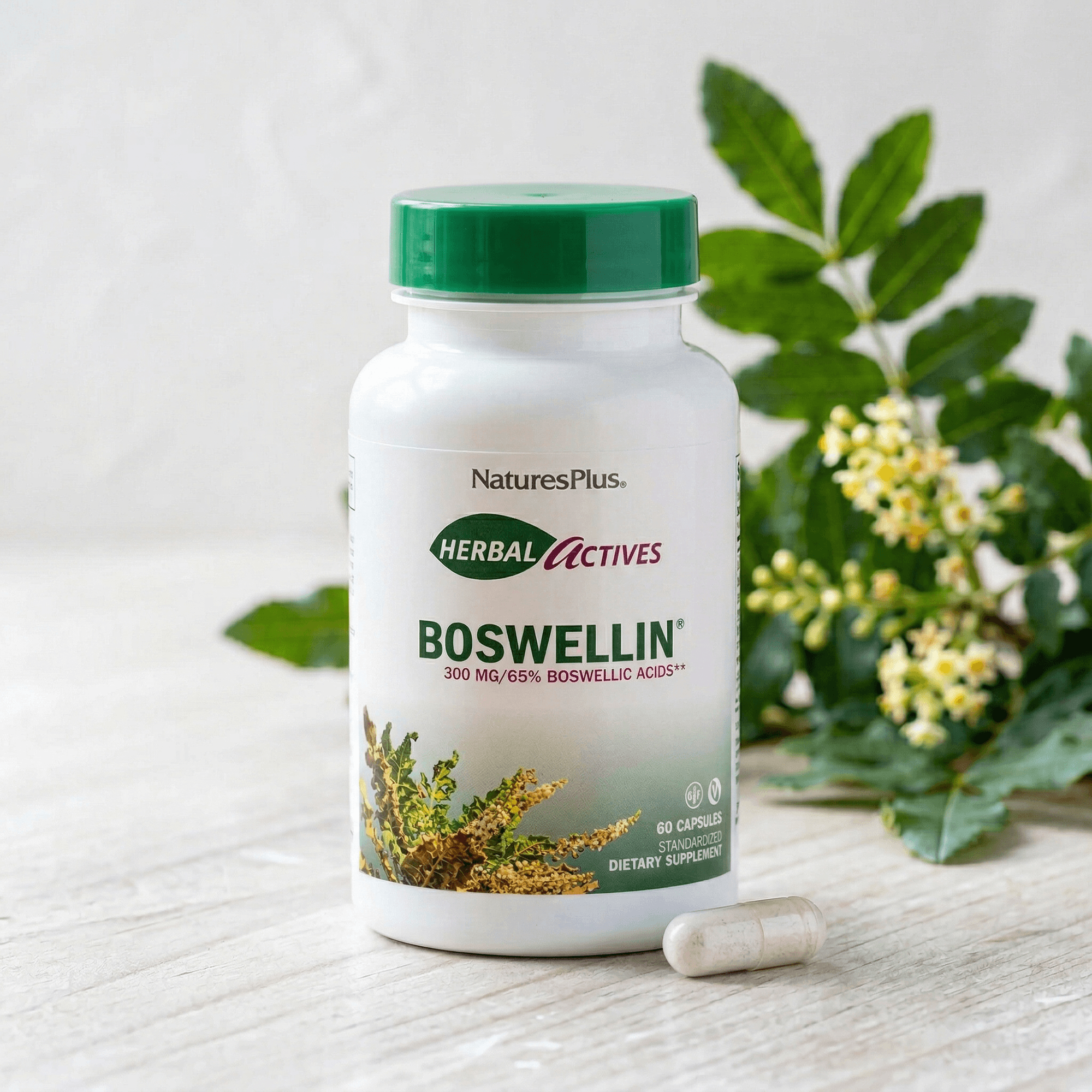 Herbal Actives® Boswellin® Capsules - 60 Count