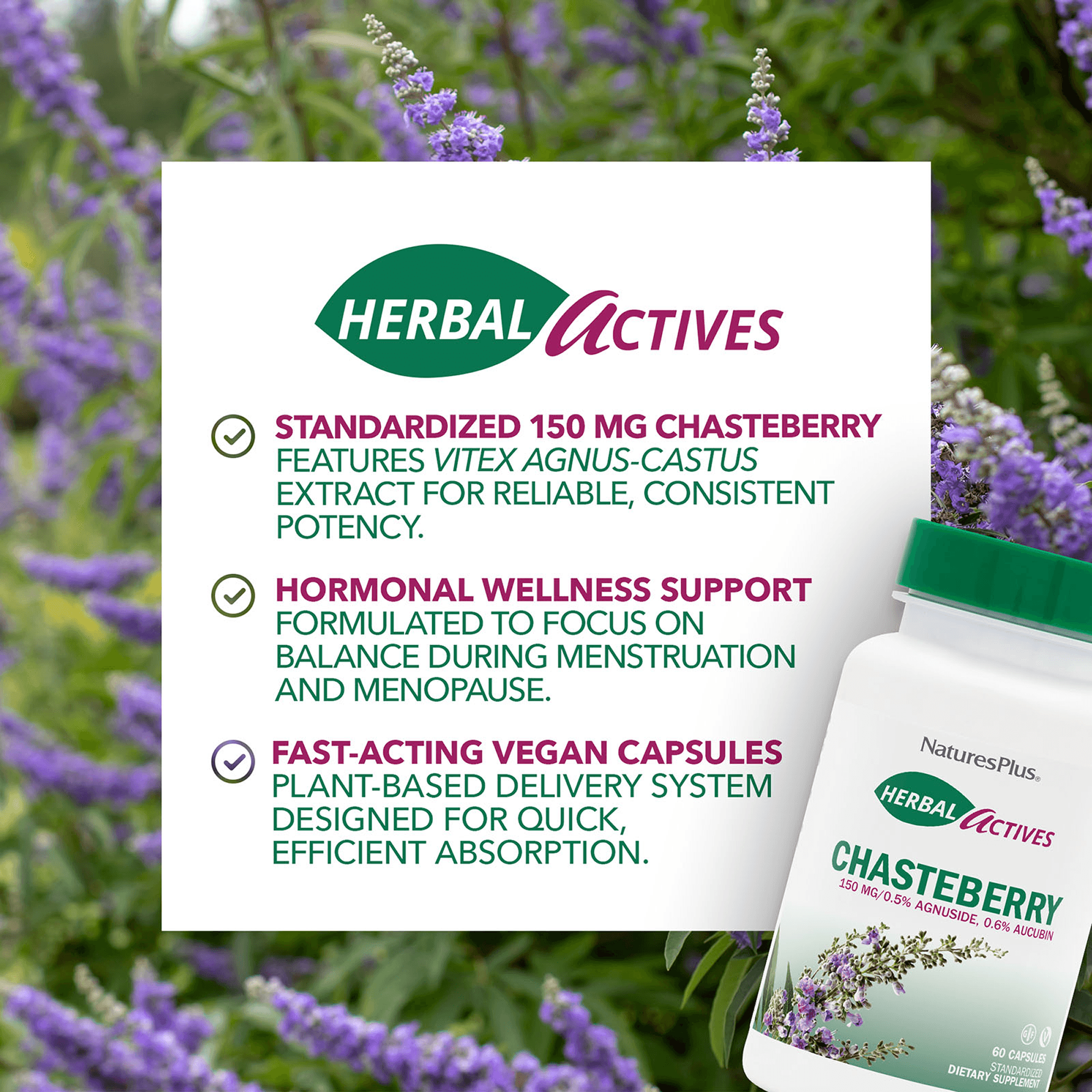 Herbal Actives Chasteberry Capsules - 60 Count