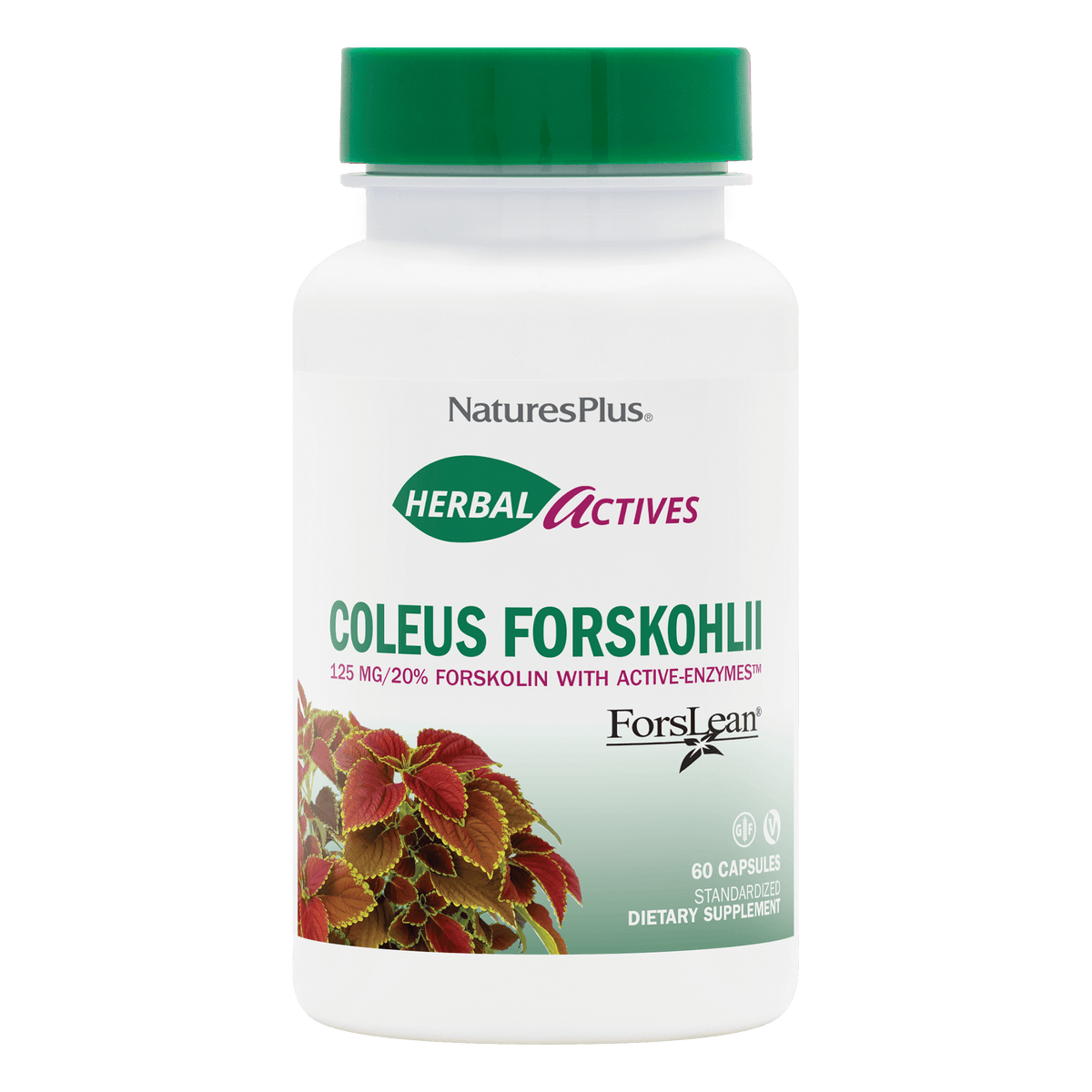 Herbal Actives® Coleus Forskohlii Capsules