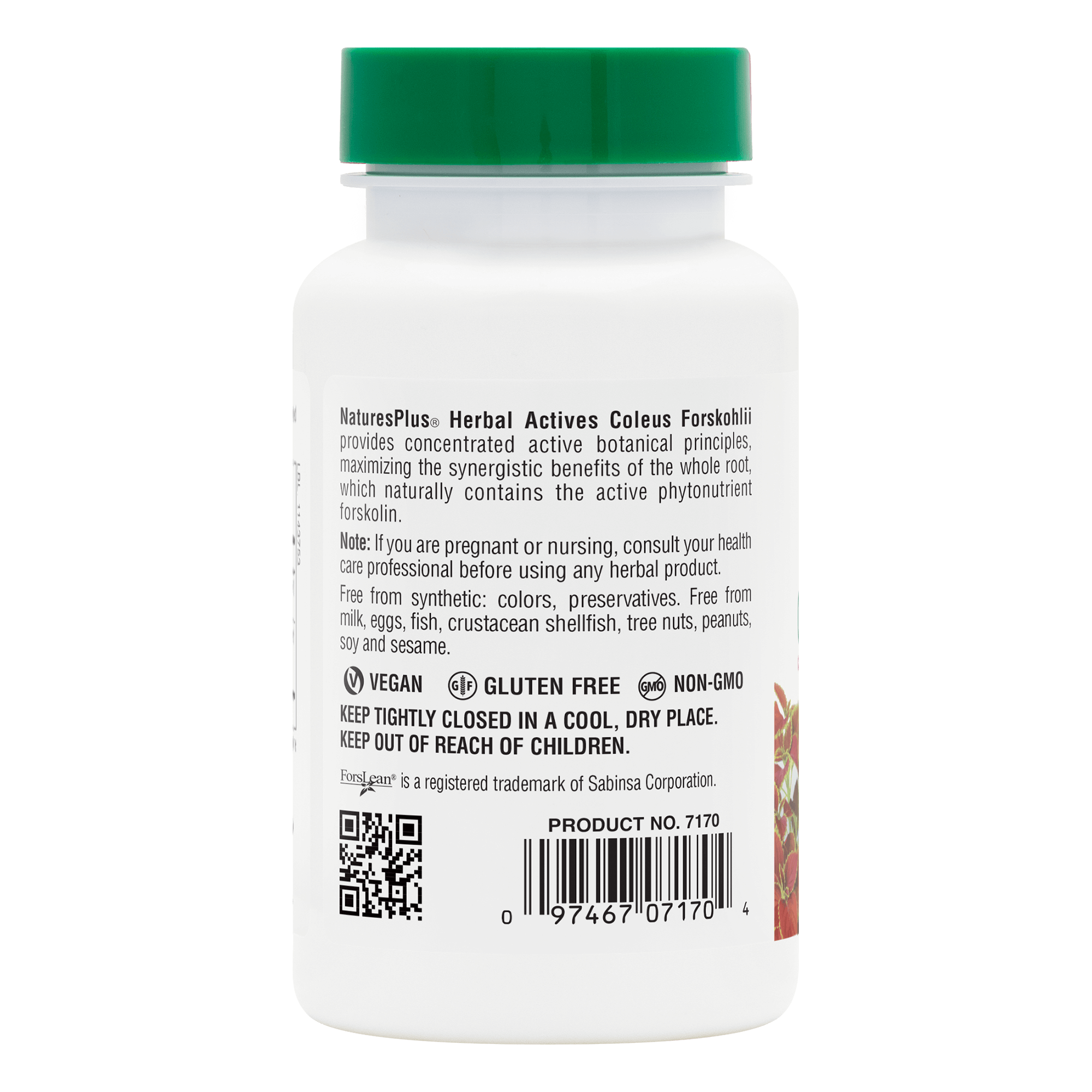 Herbal Actives® Coleus Forskohlii Capsules - 60 Count