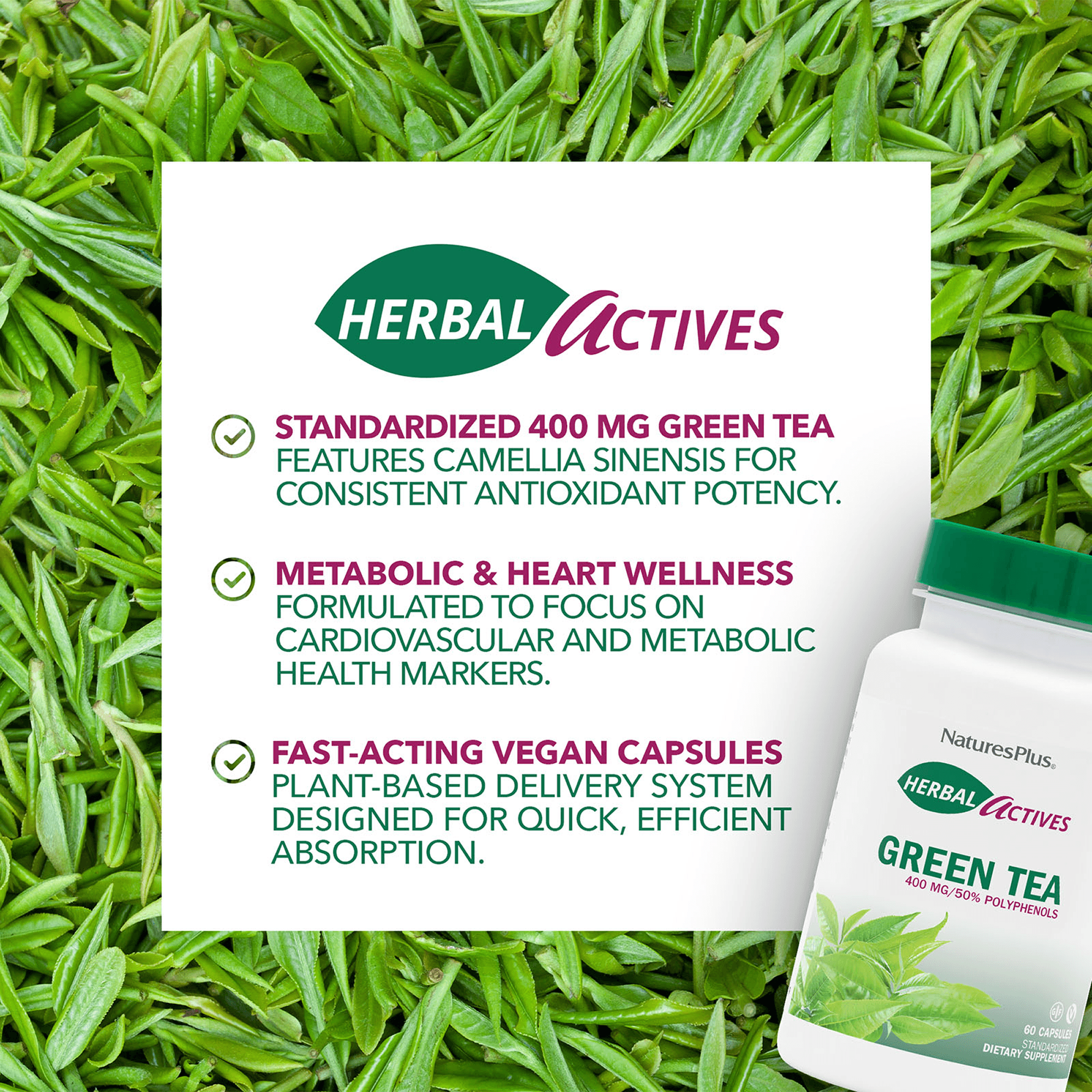 Herbal Actives Green Tea Capsules - 60 Count