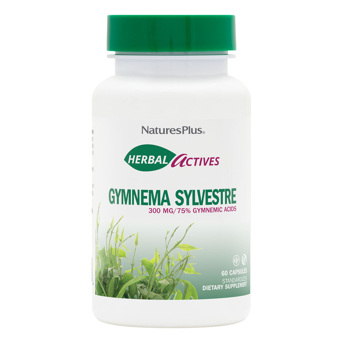 product image of Herbal Actives Gymnema Sylvestre Capsules containing 60 Count