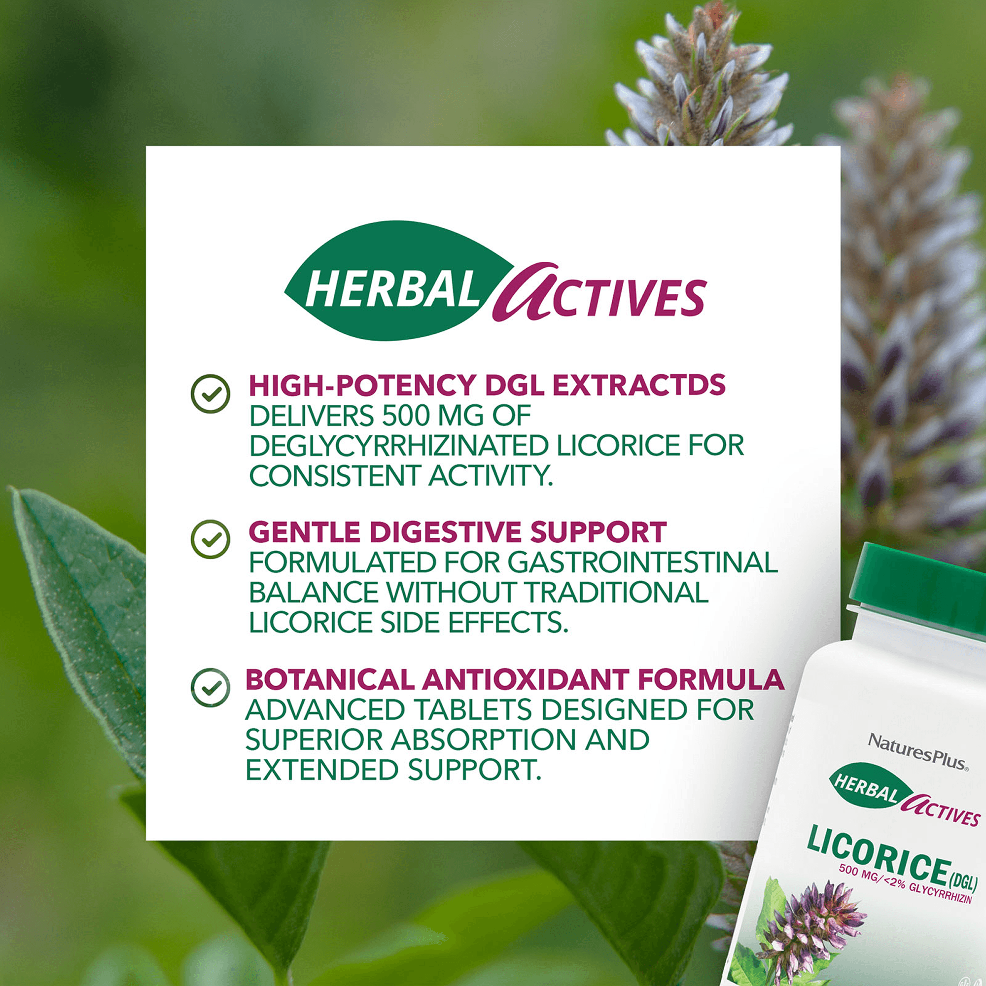 Herbal Actives® Licorice DGL Capsules - 60 Count