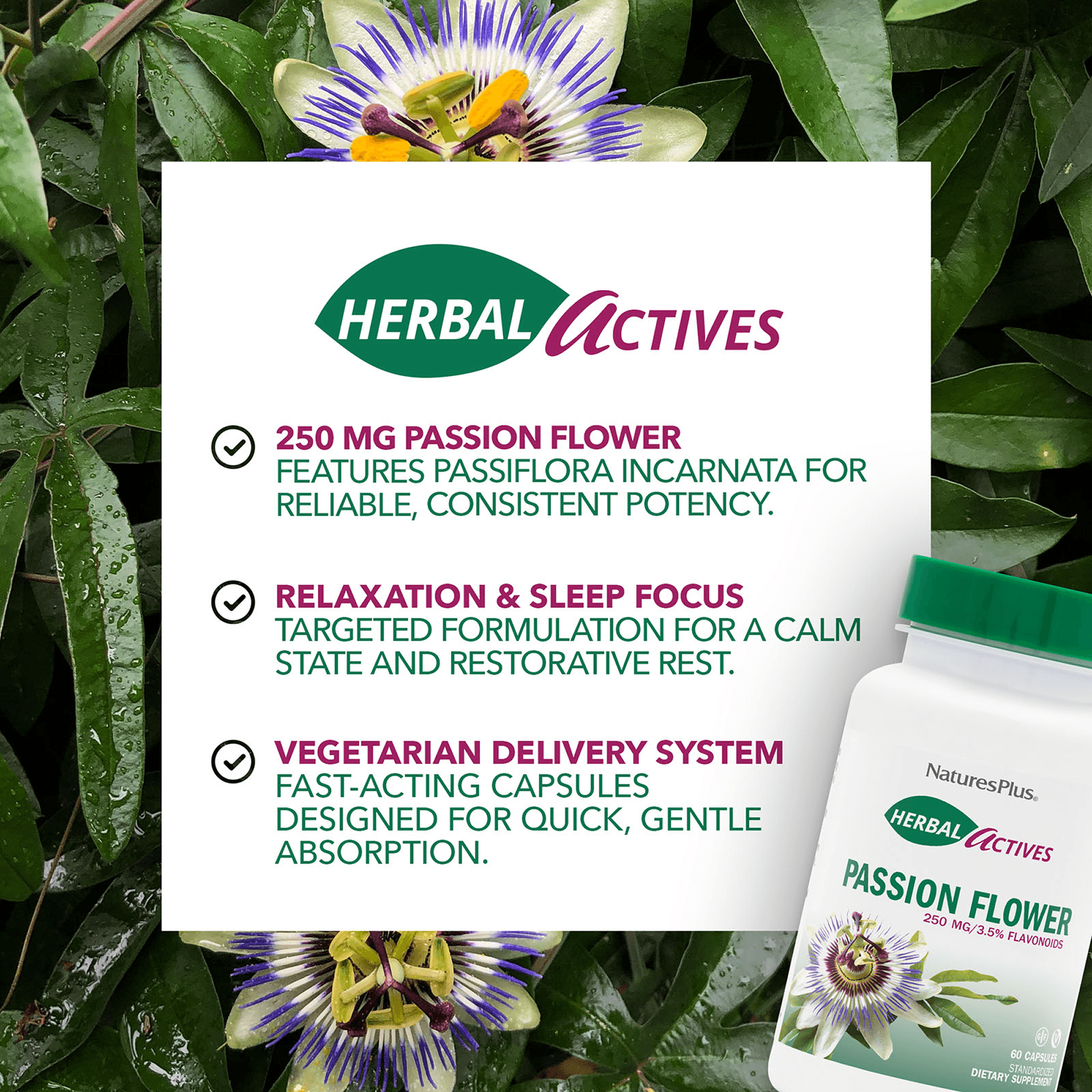 Herbal Actives® Passion Flower Capsules - 60 Count
