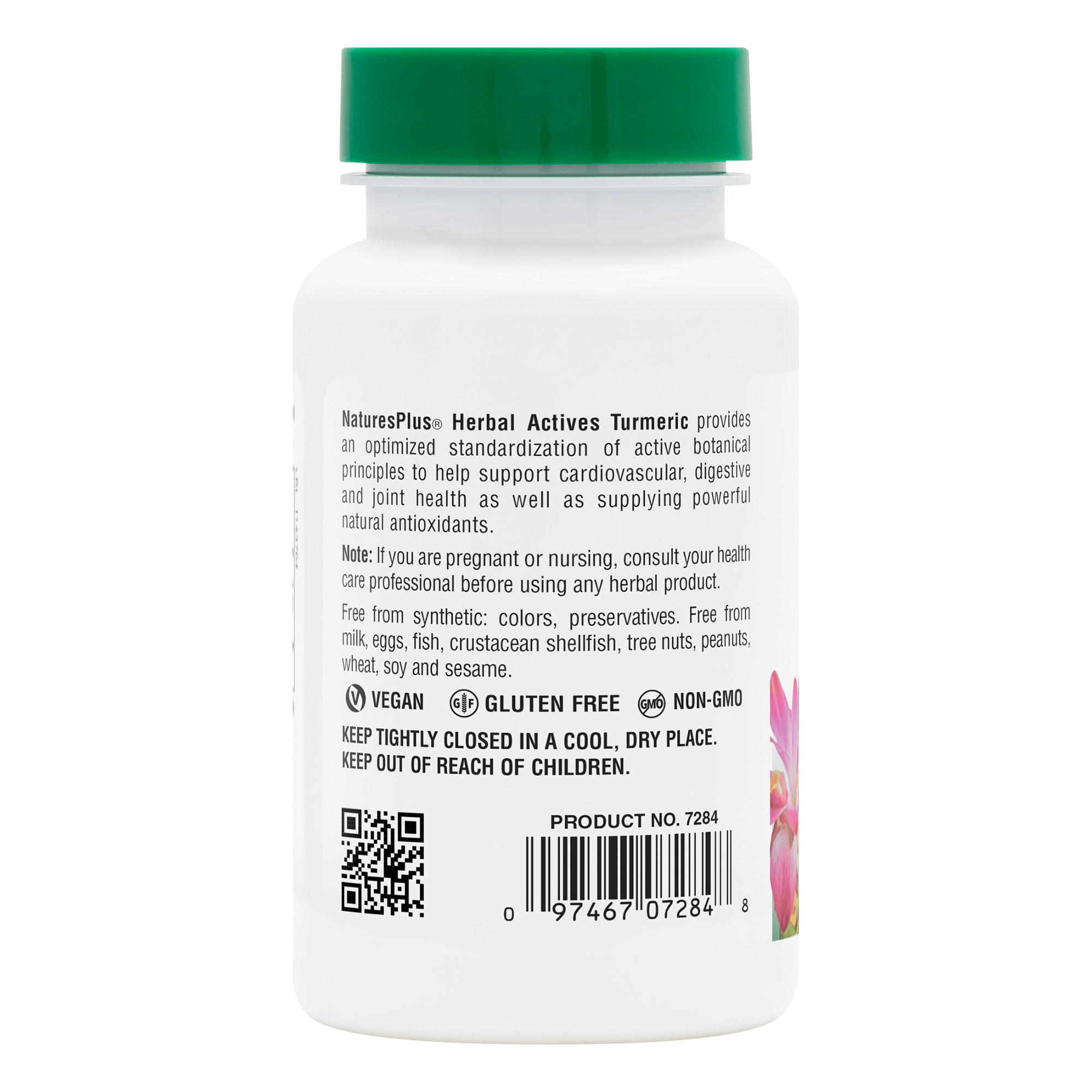 Herbal Actives Turmeric Capsules - 60 Count