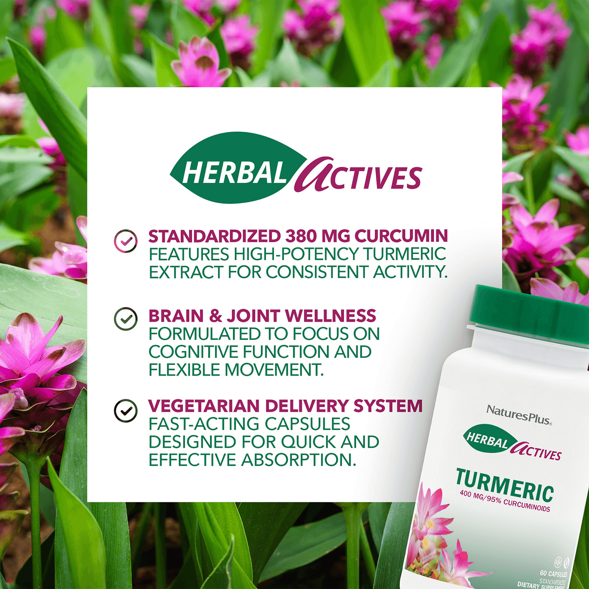 Herbal Actives® Turmeric Capsules - 60 Count