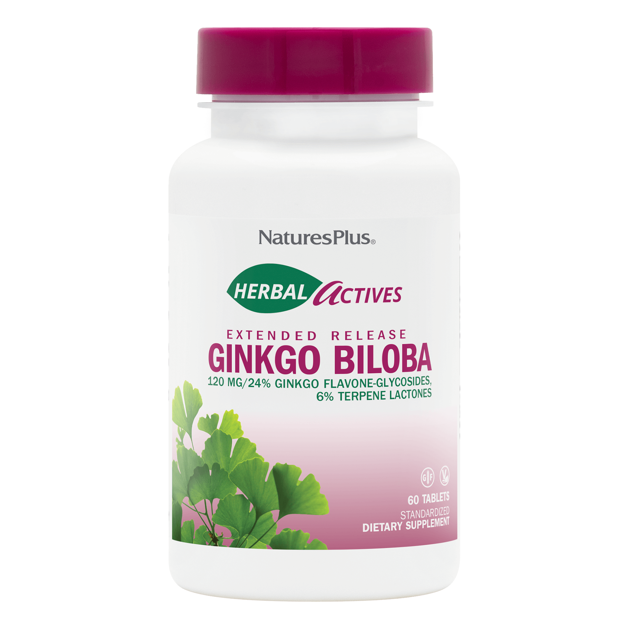 Herbal Actives® Ginkgo Biloba Extended Release Tablets - 60 Count