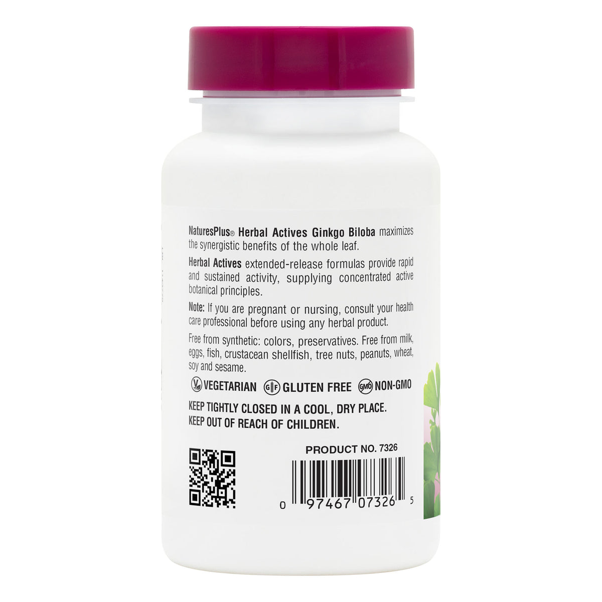 product image of Herbal Actives Ginkgo Biloba Extended Release Tablets containing 60 Count