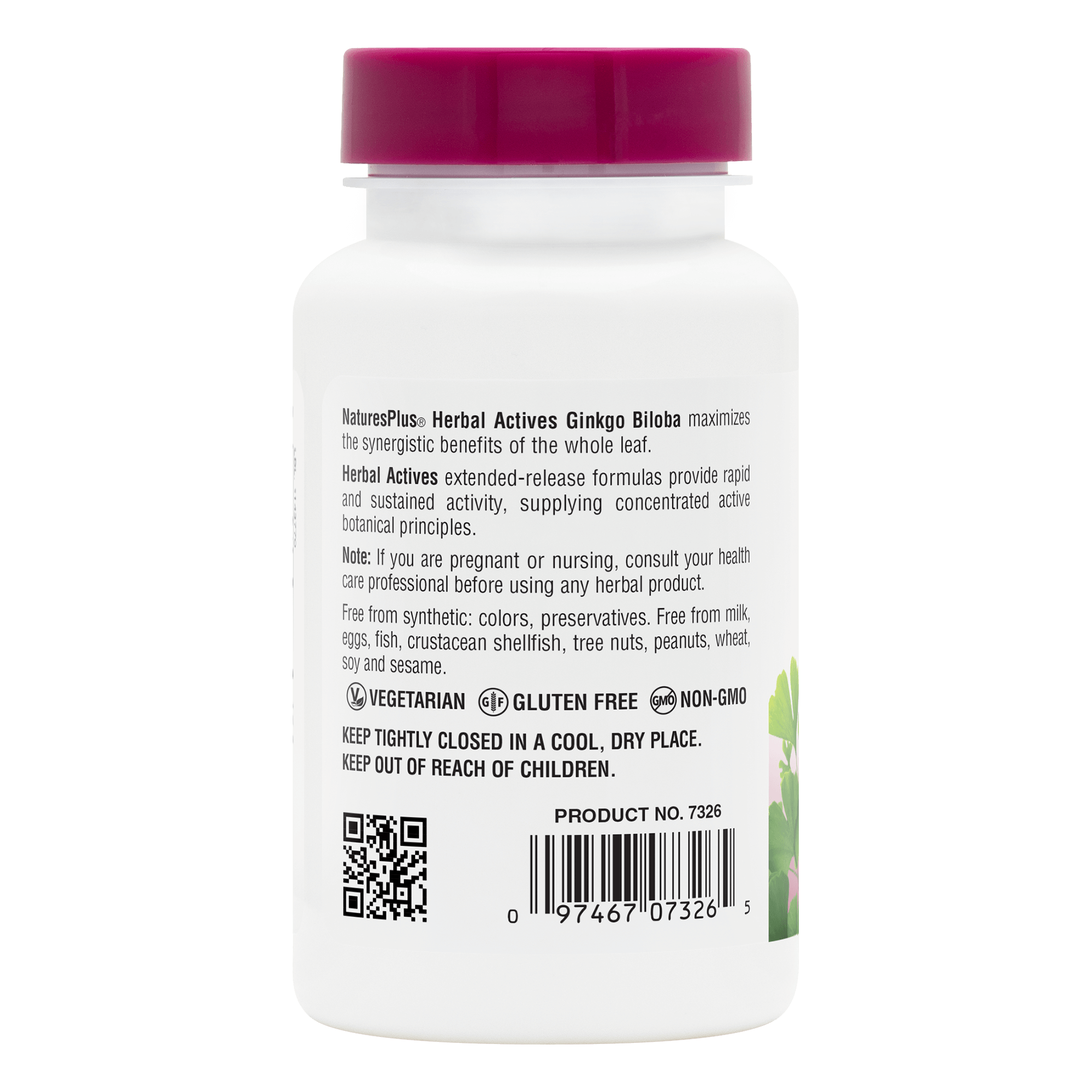 Herbal Actives® Ginkgo Biloba Extended Release Tablets - 60 Count