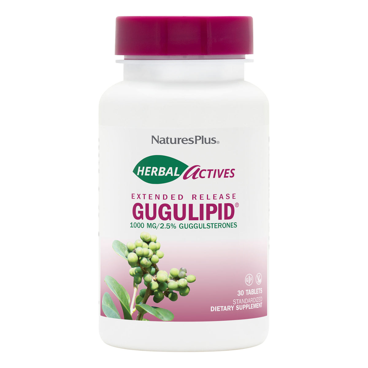 product image of Herbal Actives Gugulipid® Extended Release Tablets containing 30 Count