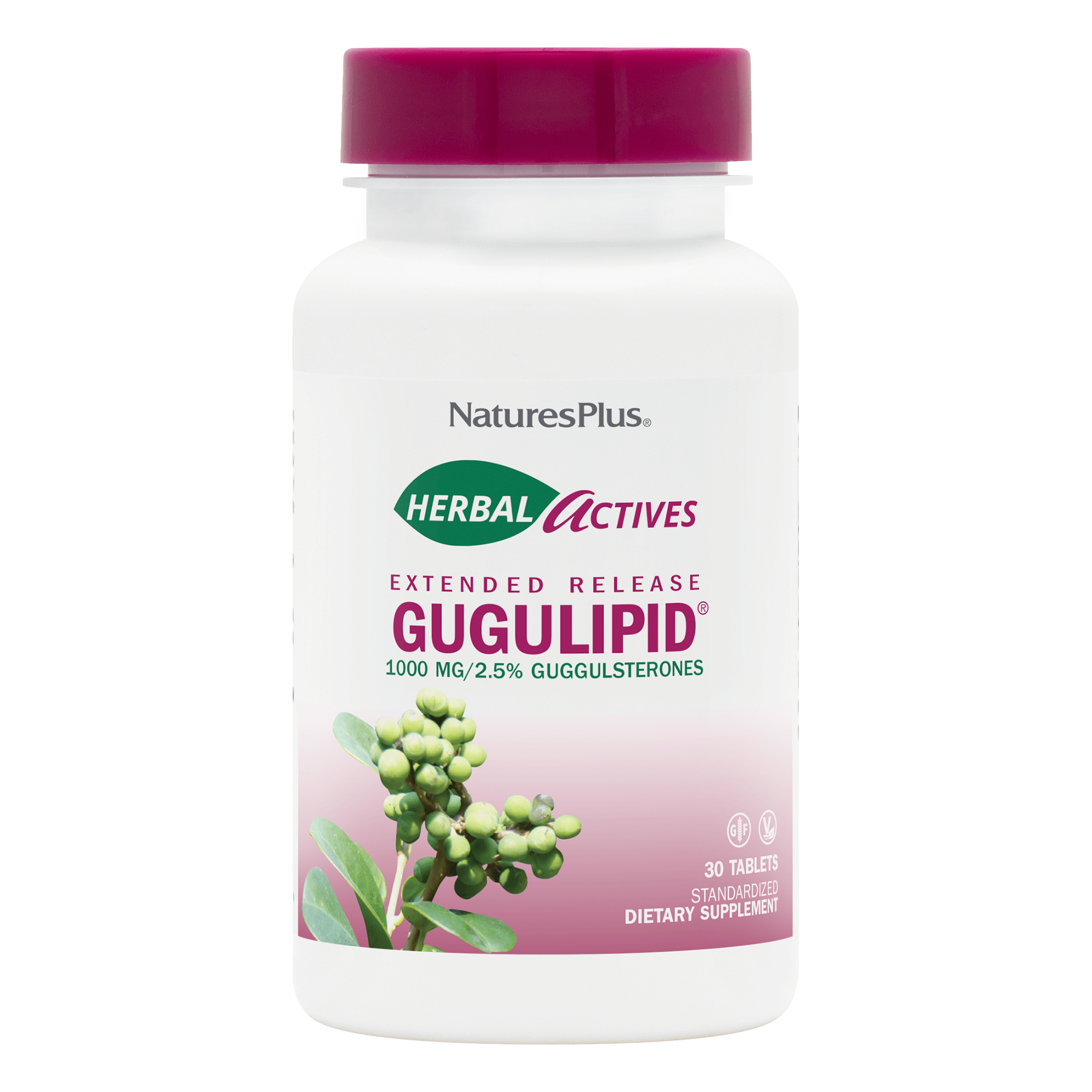 Herbal Actives® Gugulipid® Extended Release Tablets - 30 Count