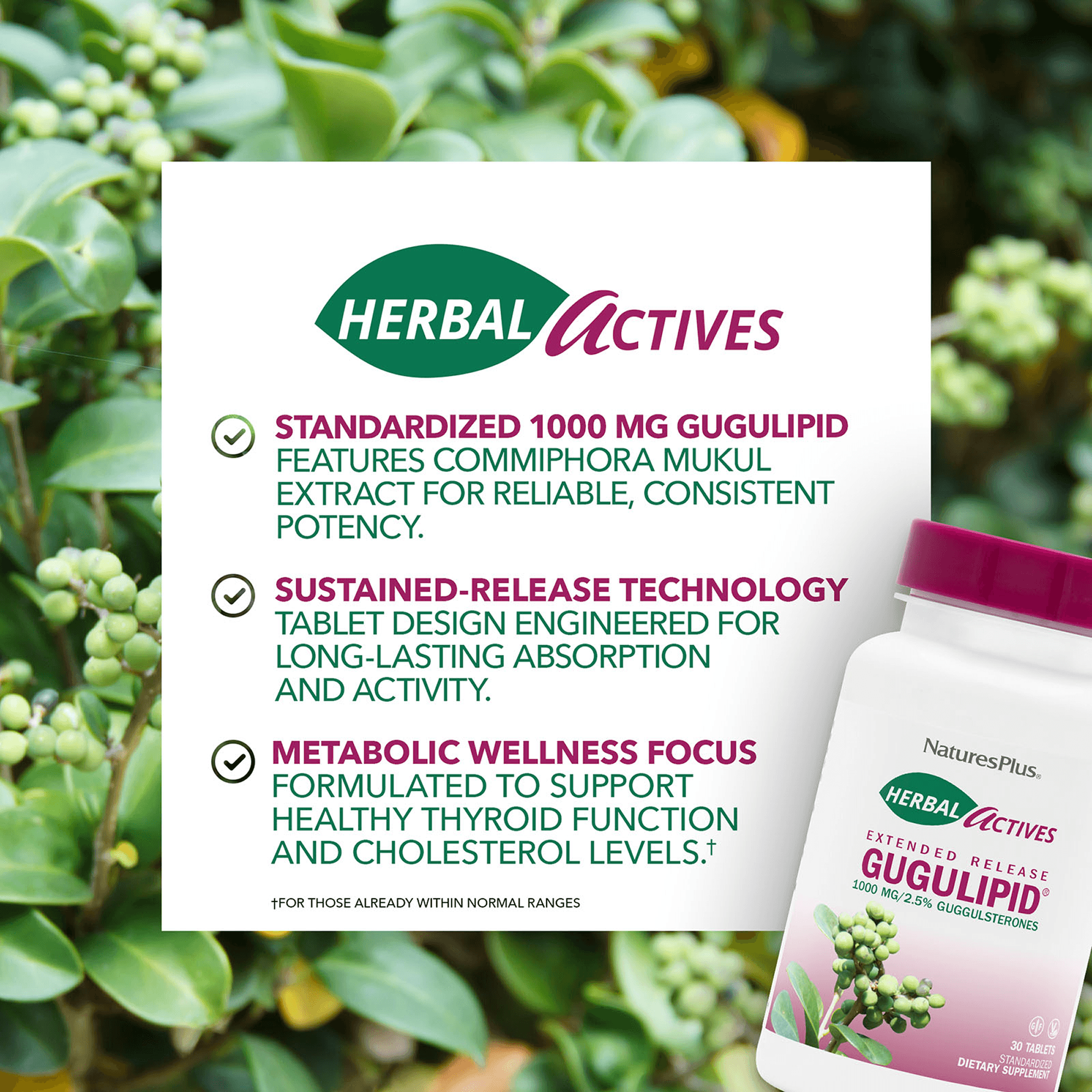 Herbal Actives® Gugulipid® Extended Release Tablets - 30 Count