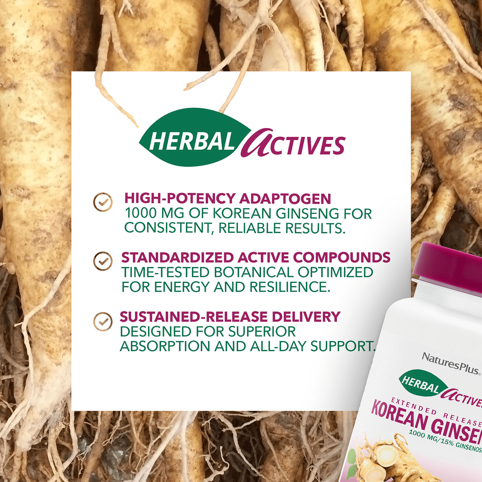 Herbal Actives® Korean Ginseng Extended Release Tablets - 30 Count