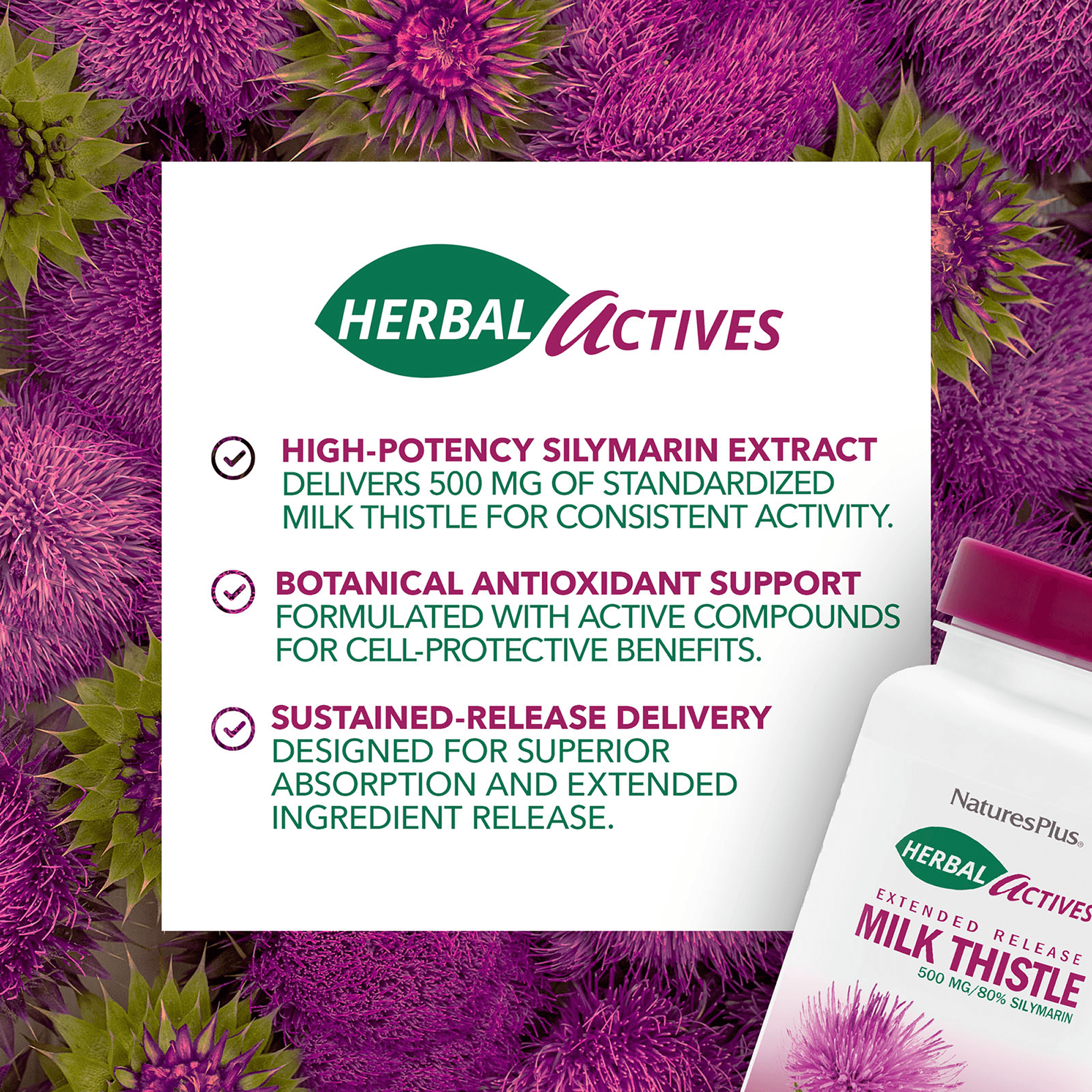 Herbal Actives Milk Thistle Extended Release Tablets - 30 Count