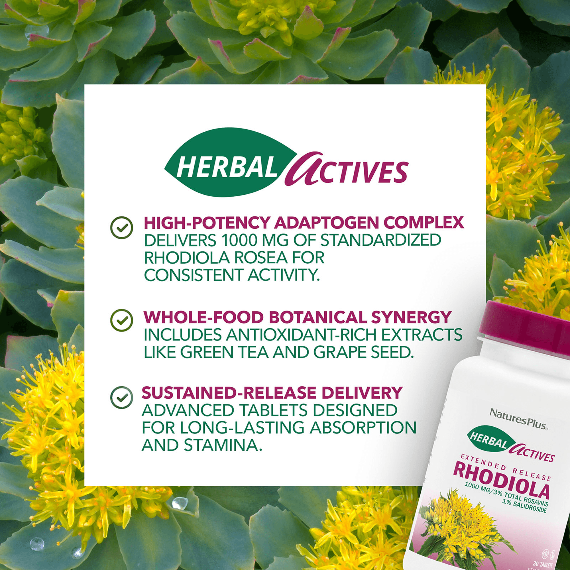 Herbal Actives Rhodiola Extended Release Tablets - 30 Count