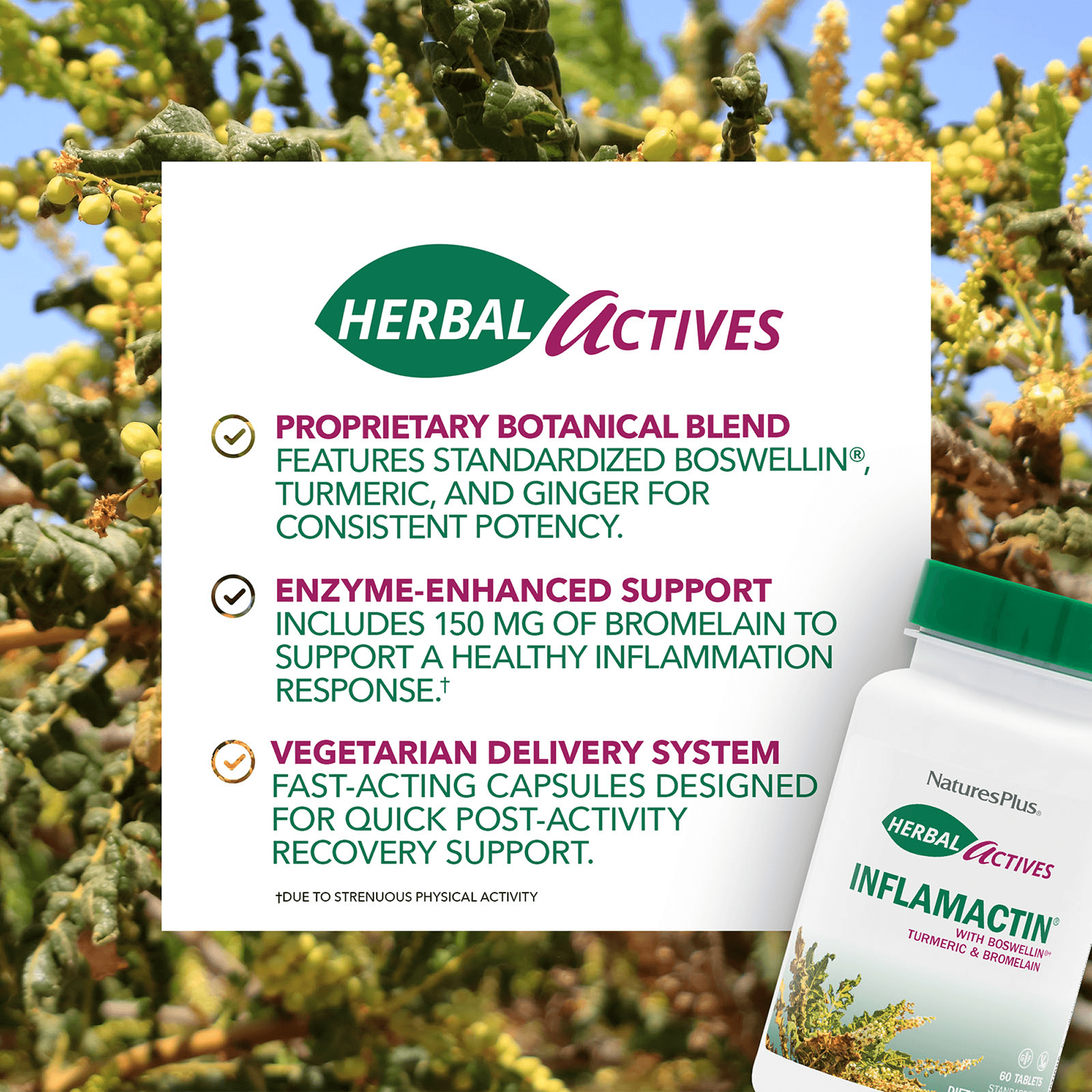 Herbal Actives® InflamActin Capsules - 60 Count