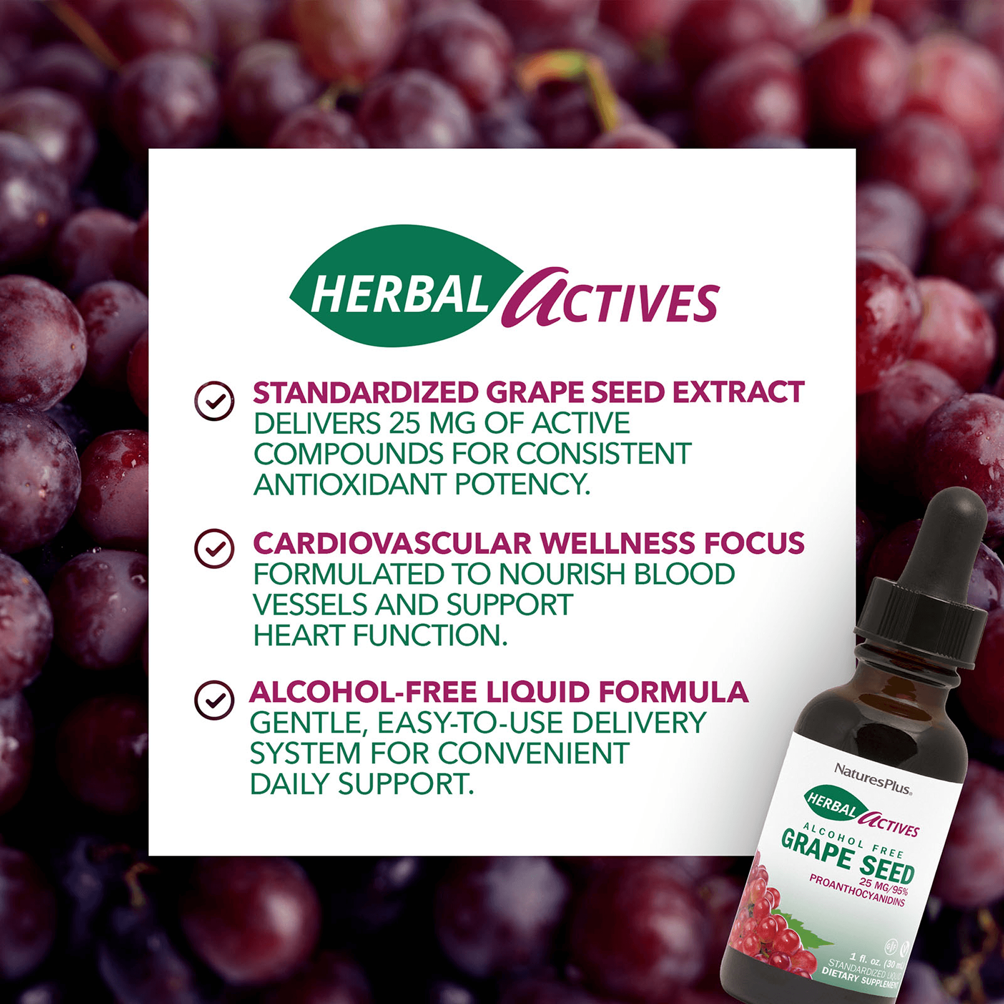 Herbal Actives® Grape Seed Liquid - 1 FL OZ