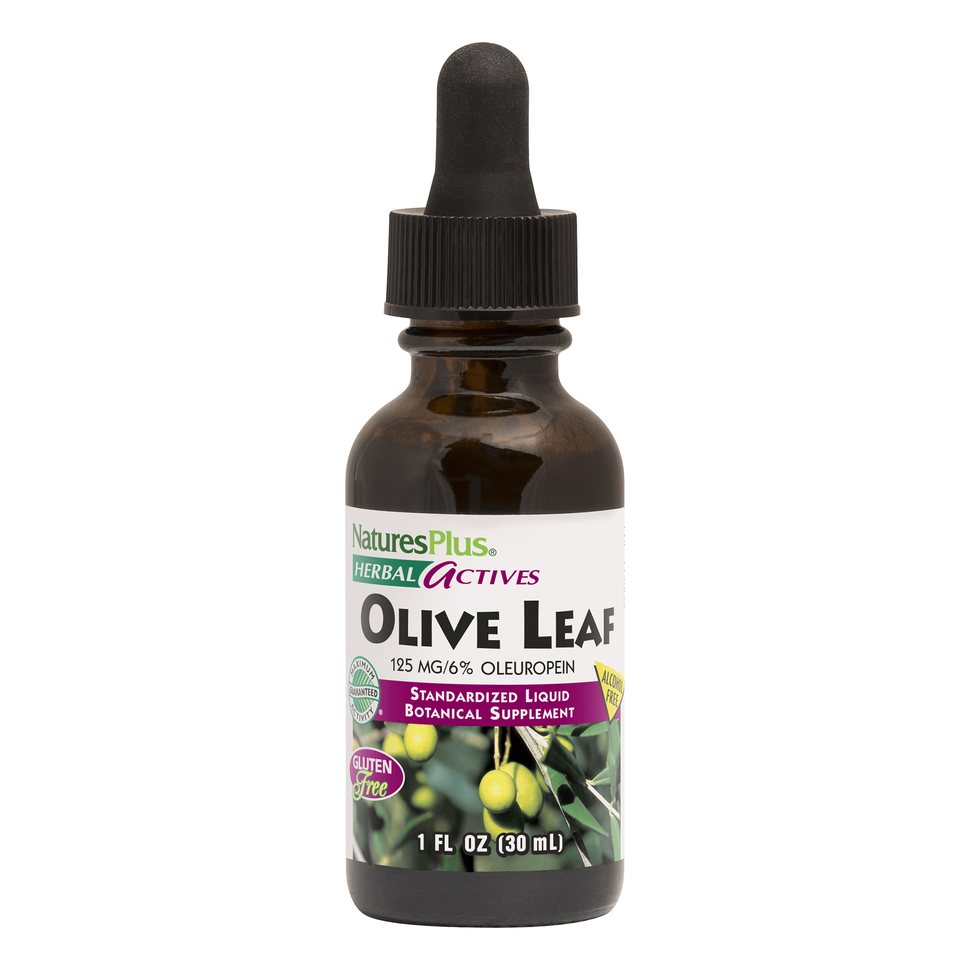 Herbal Actives® Olive Leaf Liquid - 1 FL OZ