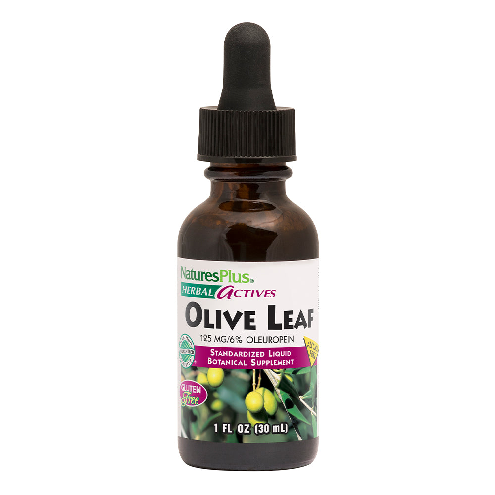 product image of Herbal Actives Olive Leaf Liquid containing 1 FL OZ