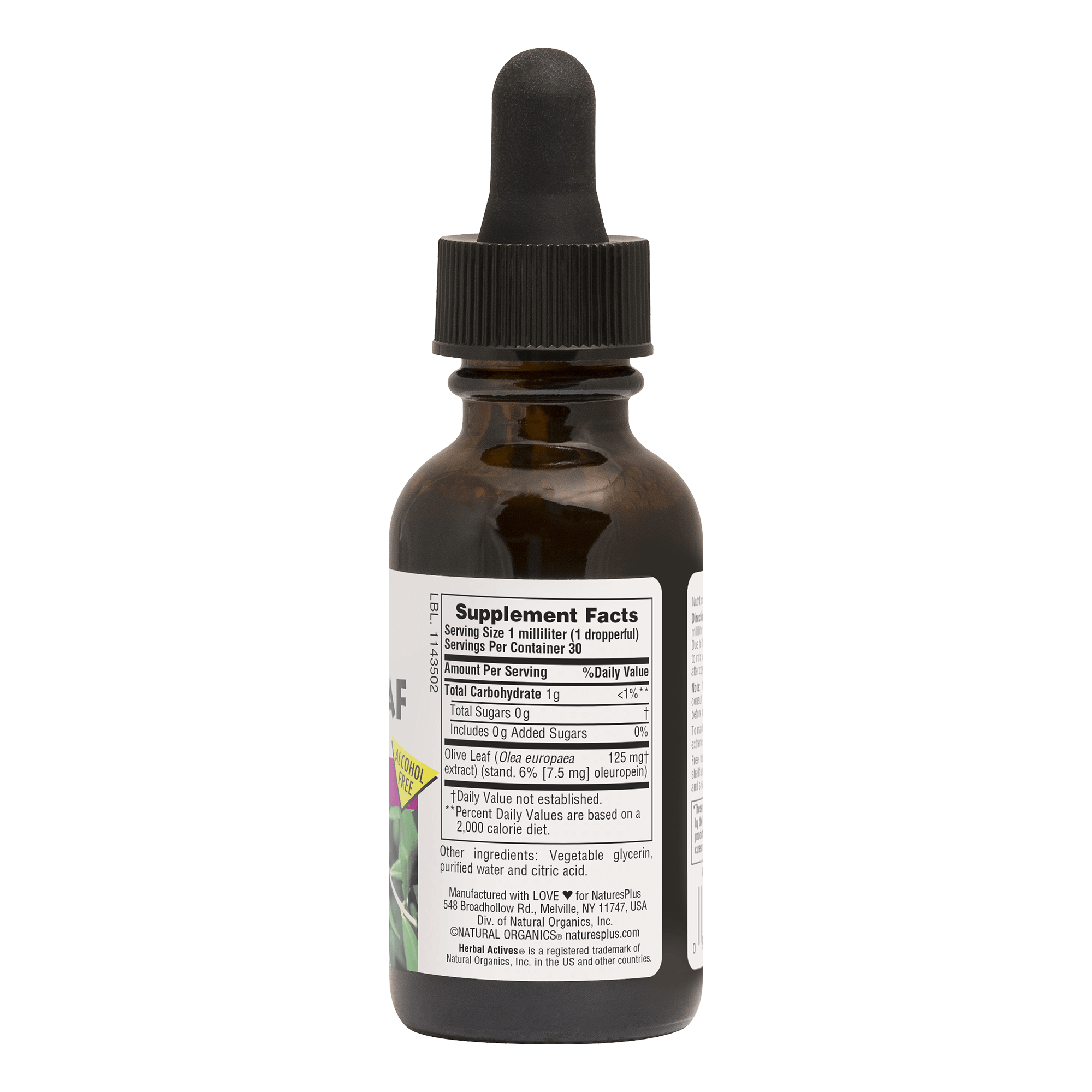 Herbal Actives® Olive Leaf Liquid - 1 FL OZ