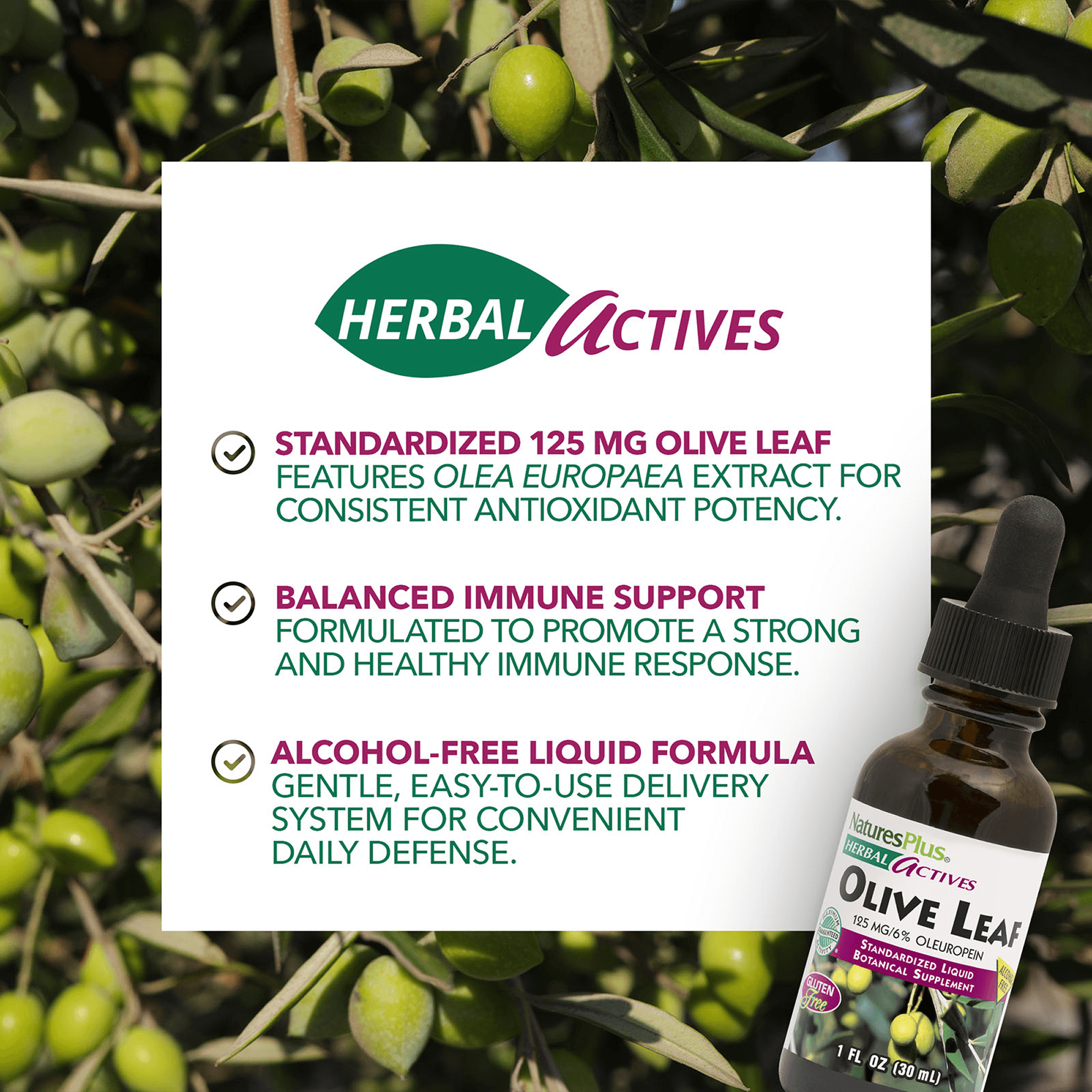 Herbal Actives® Olive Leaf Liquid - 1 FL OZ