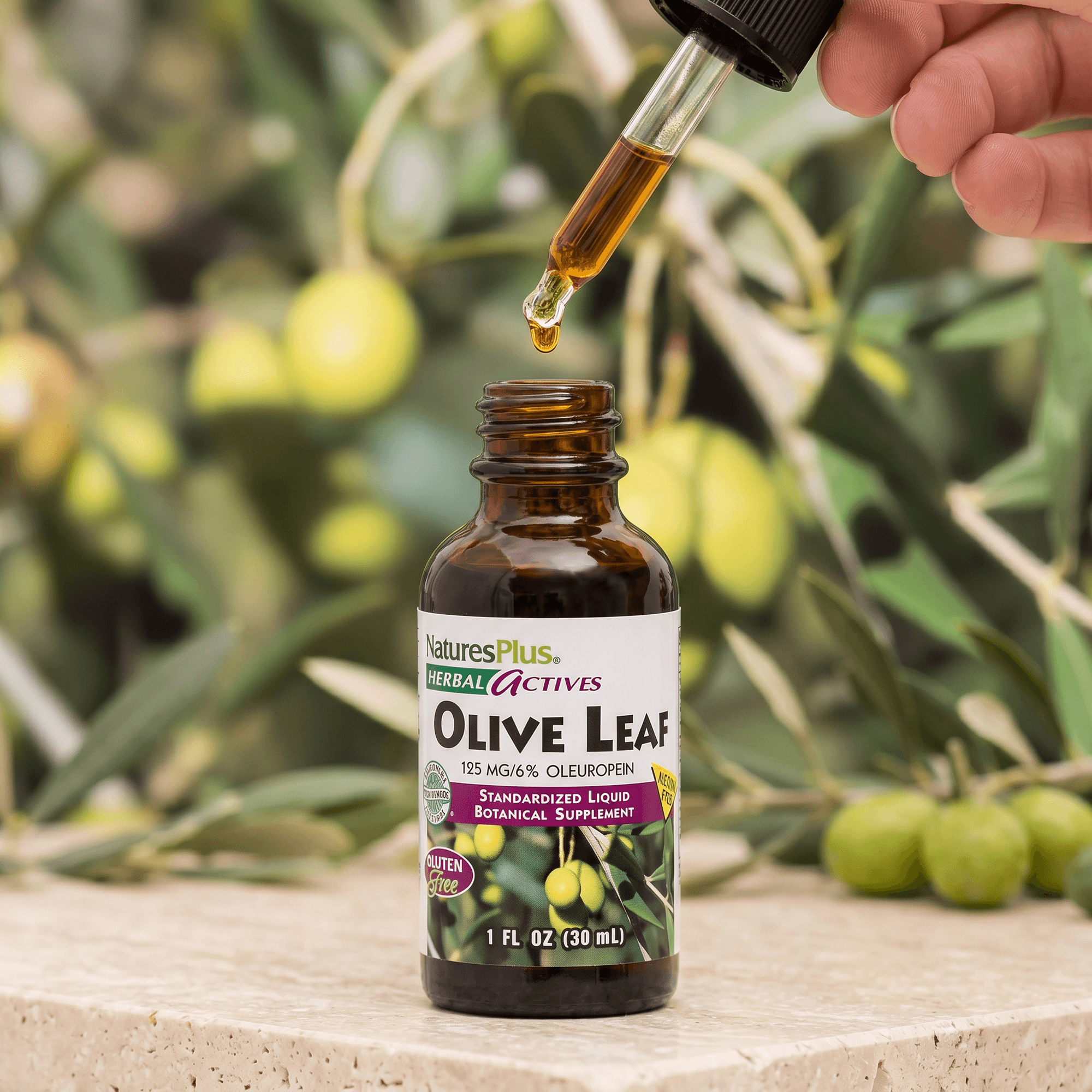Herbal Actives® Olive Leaf Liquid - 1 FL OZ