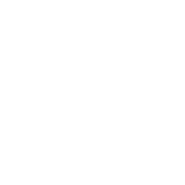 image of white globe