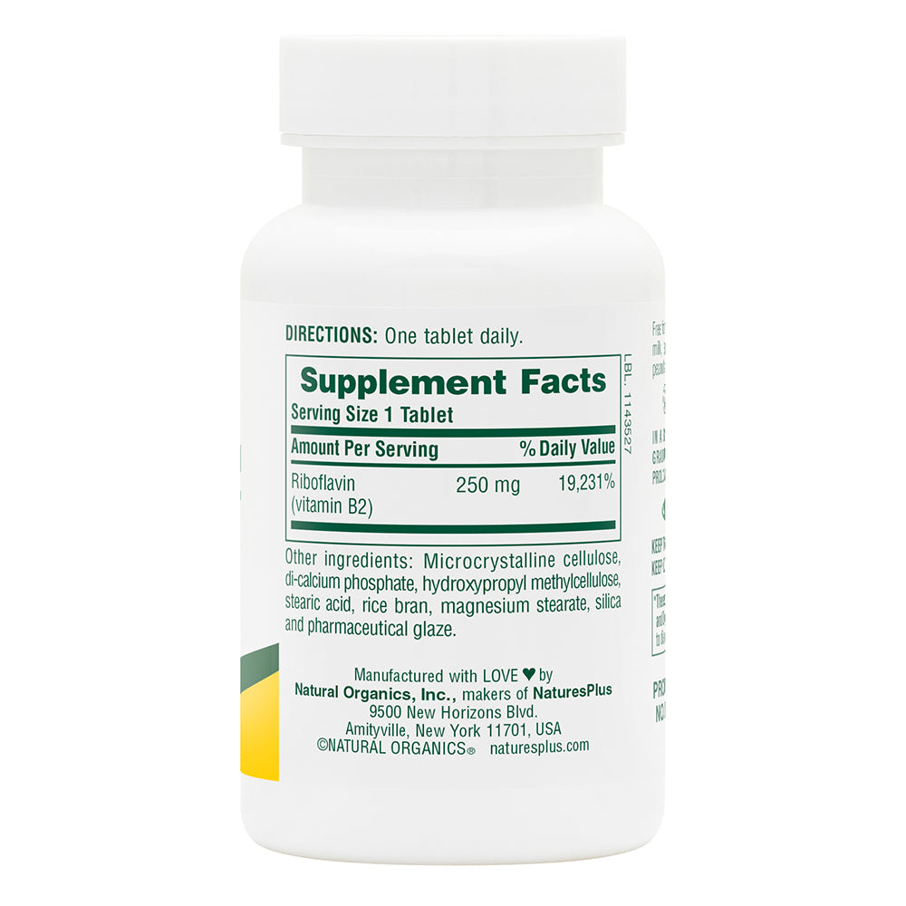product image of Vitamin B2 250 mg Sustained Release Tablets containing 60 Count