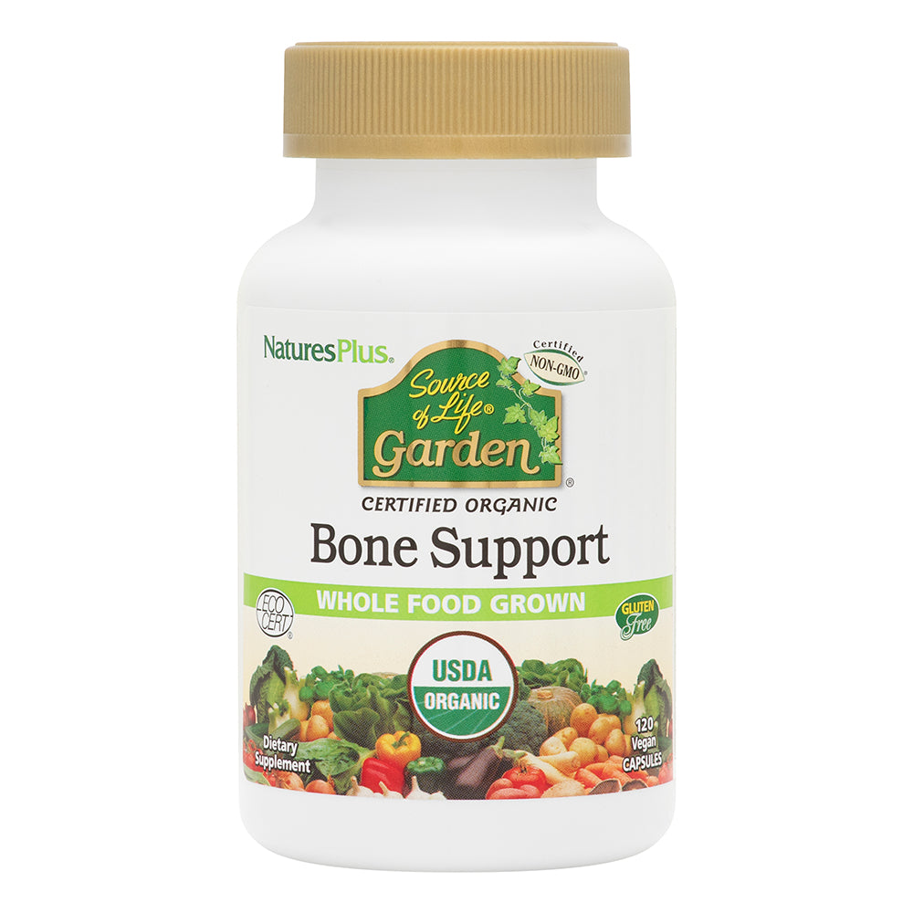 Organic bone support