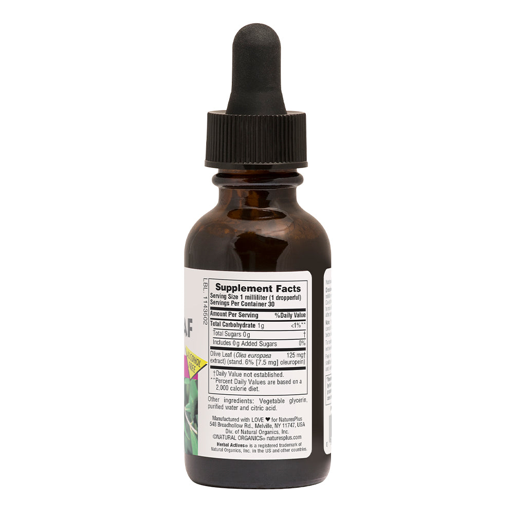 product image of Herbal Actives Olive Leaf Liquid containing 1 FL OZ